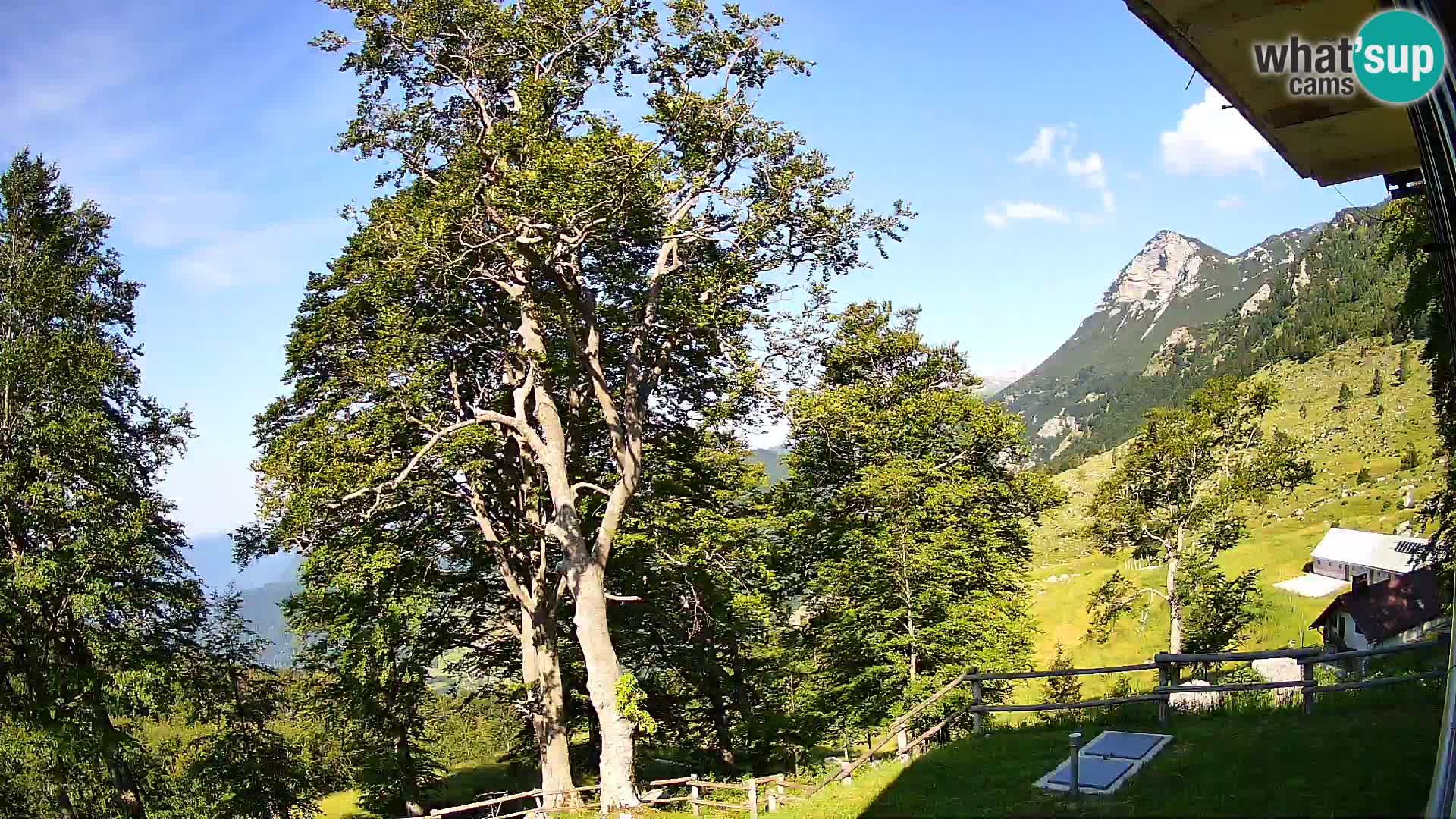 Baita di montagna Planina Razor webcam (1315) | vista su Tolminski Migovec
