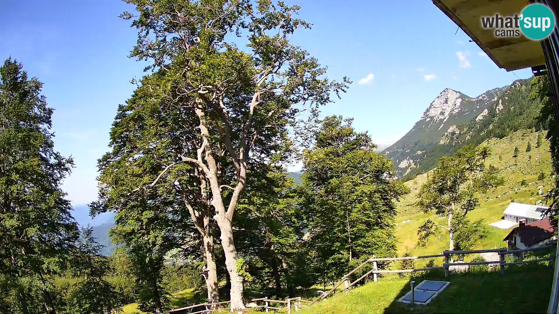 Planina Razor Mountain Hut live cam (1315) | view to Tolminski Migovec