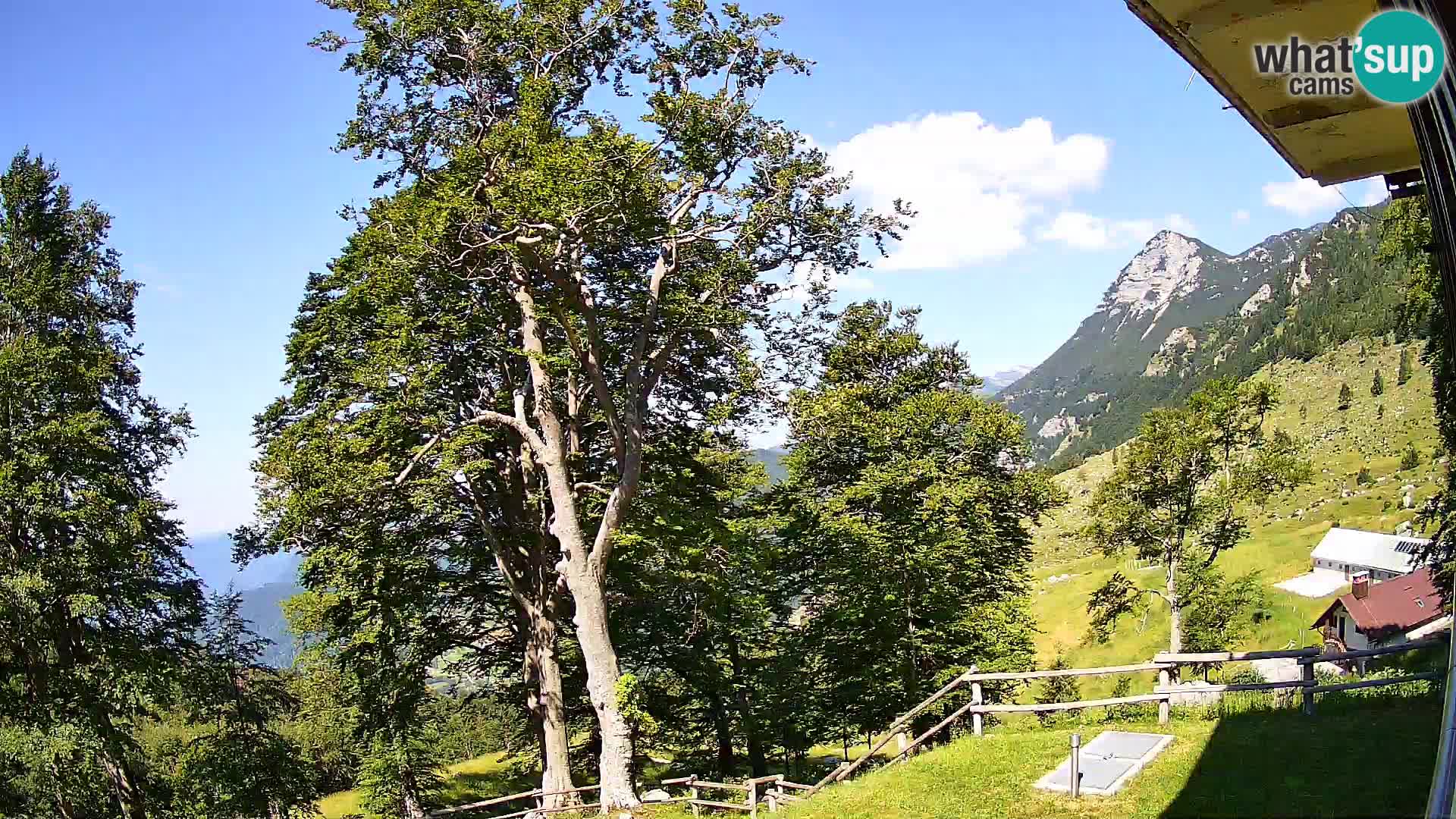 Baita di montagna Planina Razor webcam (1315) | vista su Tolminski Migovec