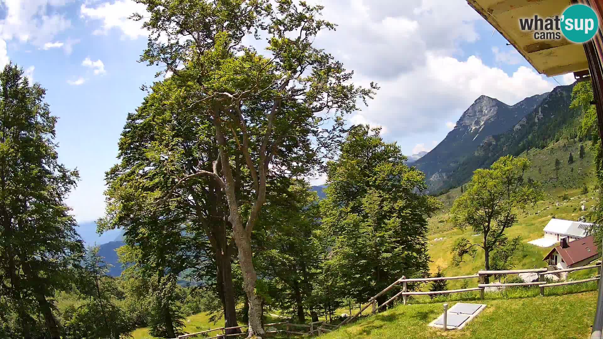Refuge de la montagne Planina Razor caméra en direct (1315) | vue sur Tolminski Migovec