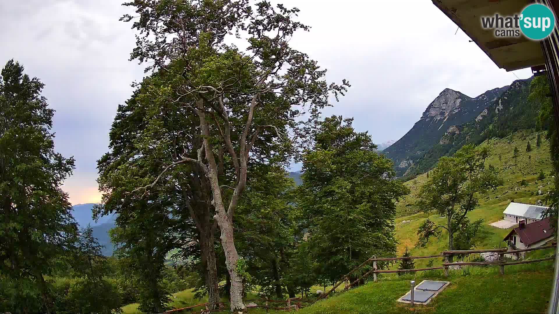 Planina Razor Bergütte Webcam (1315) | Blick auf Tolminski Migovec