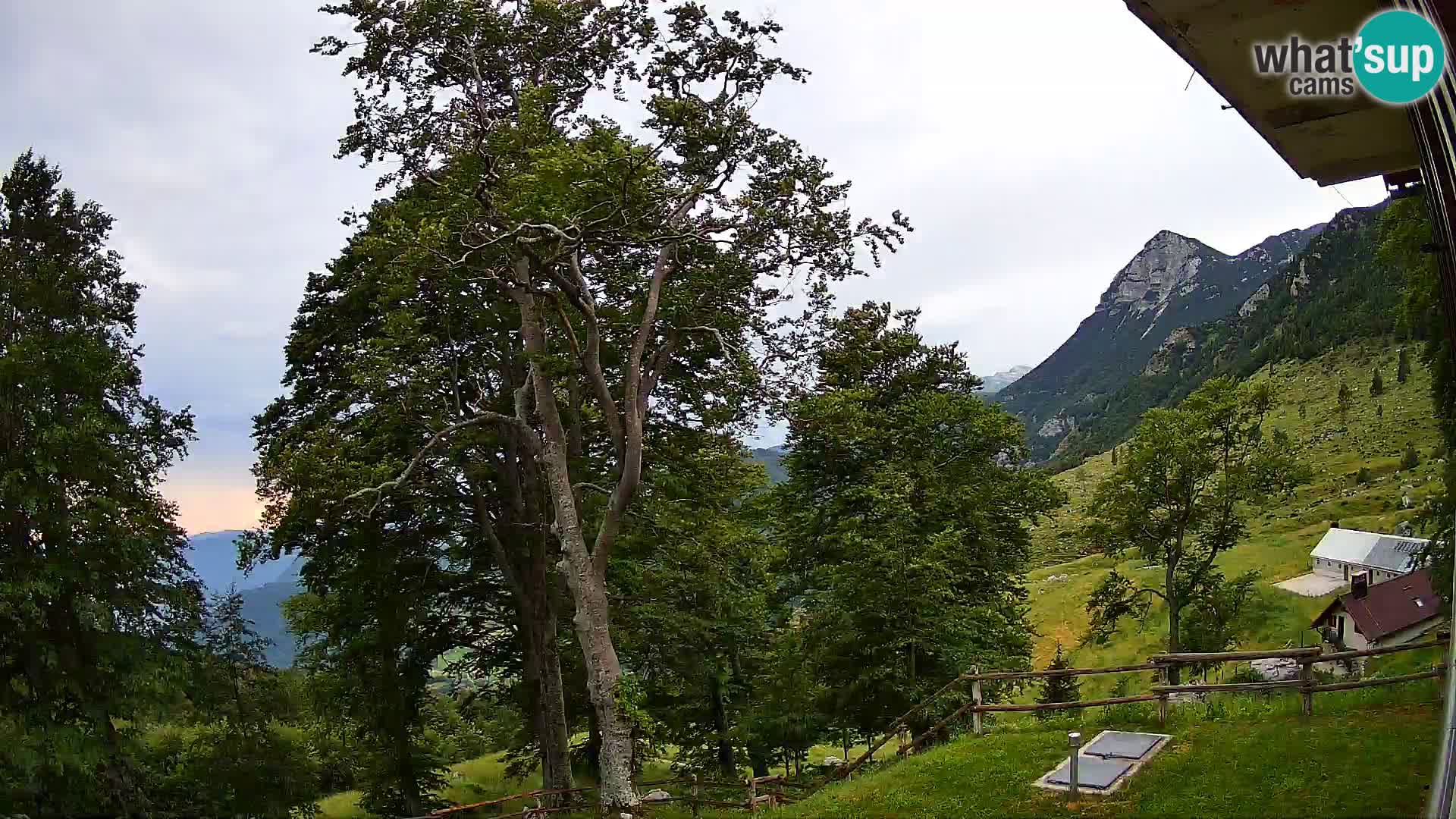 Planina Razor Bergütte Webcam (1315) | Blick auf Tolminski Migovec