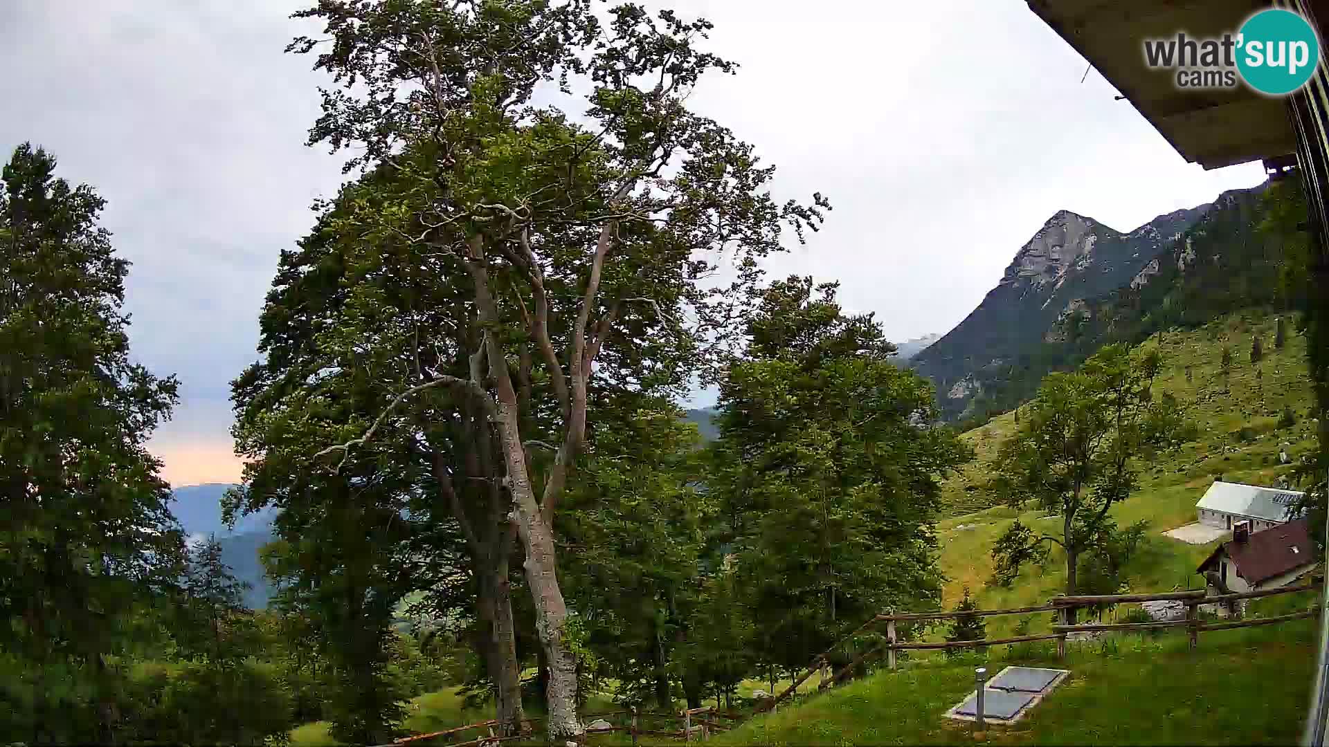 Cámara en vivo de la cabaña de montaña Planina Razor (1315) | vista hacia Tolminski Migovec