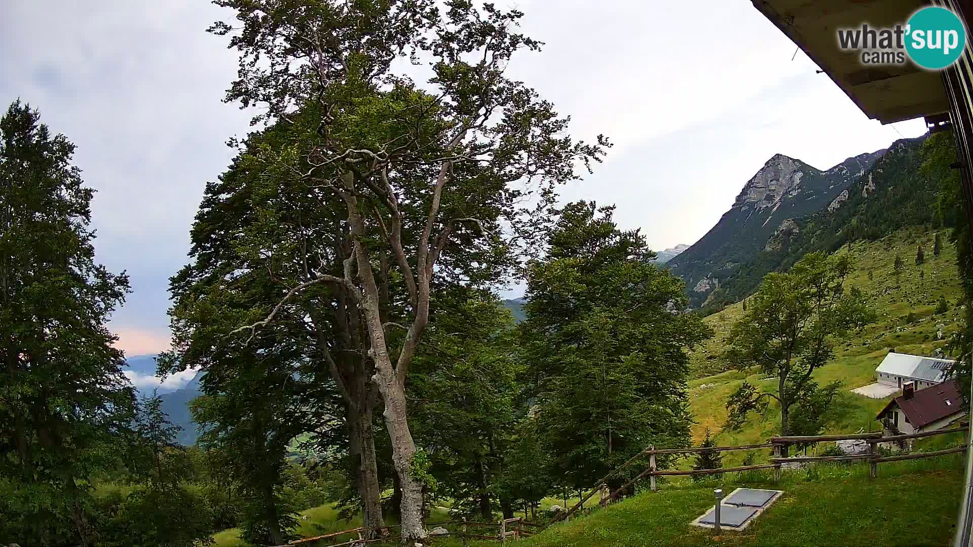 Baita di montagna Planina Razor webcam (1315) | vista su Tolminski Migovec