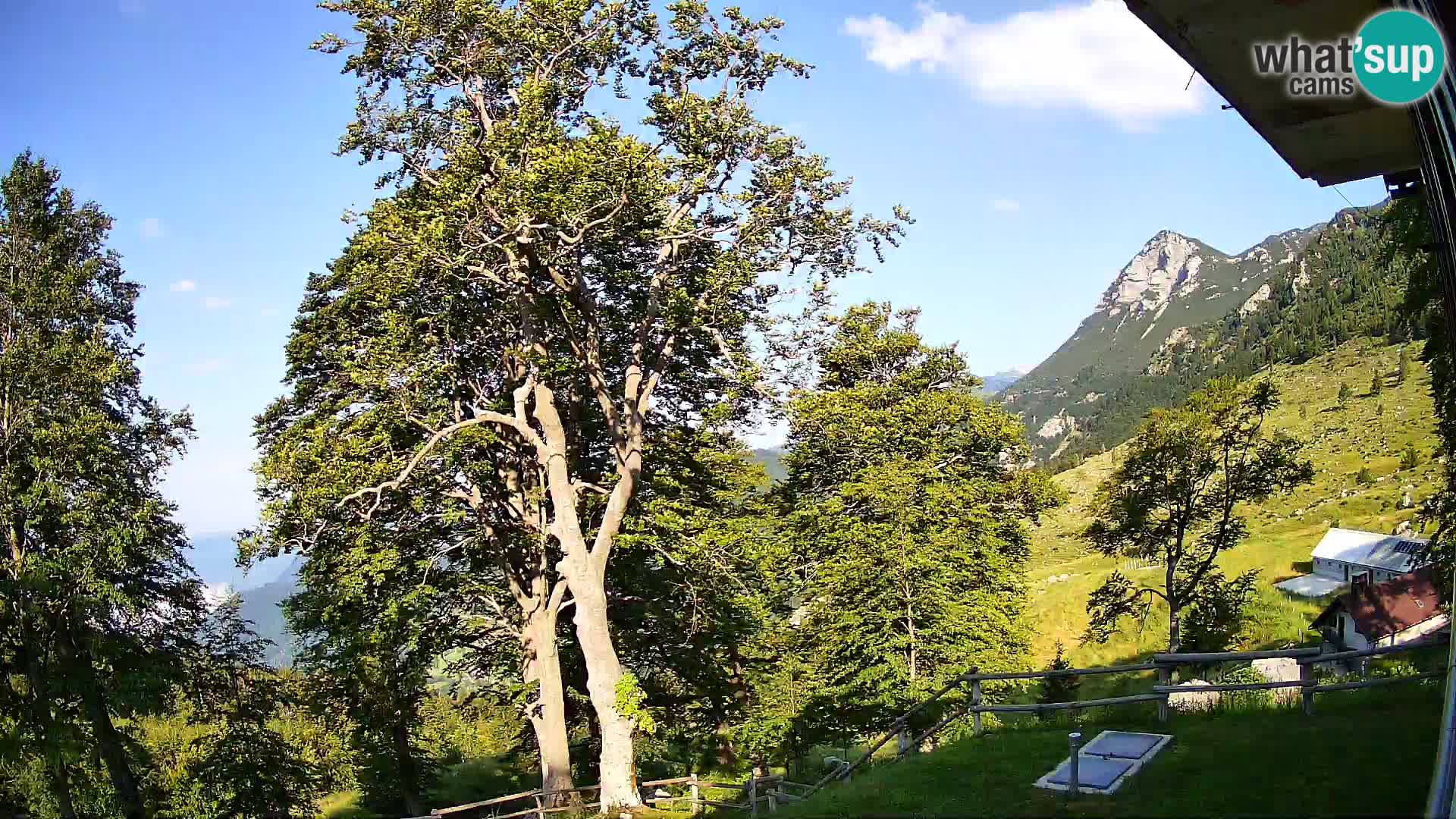 Planina Razor Bergütte Webcam (1315) | Blick auf Tolminski Migovec