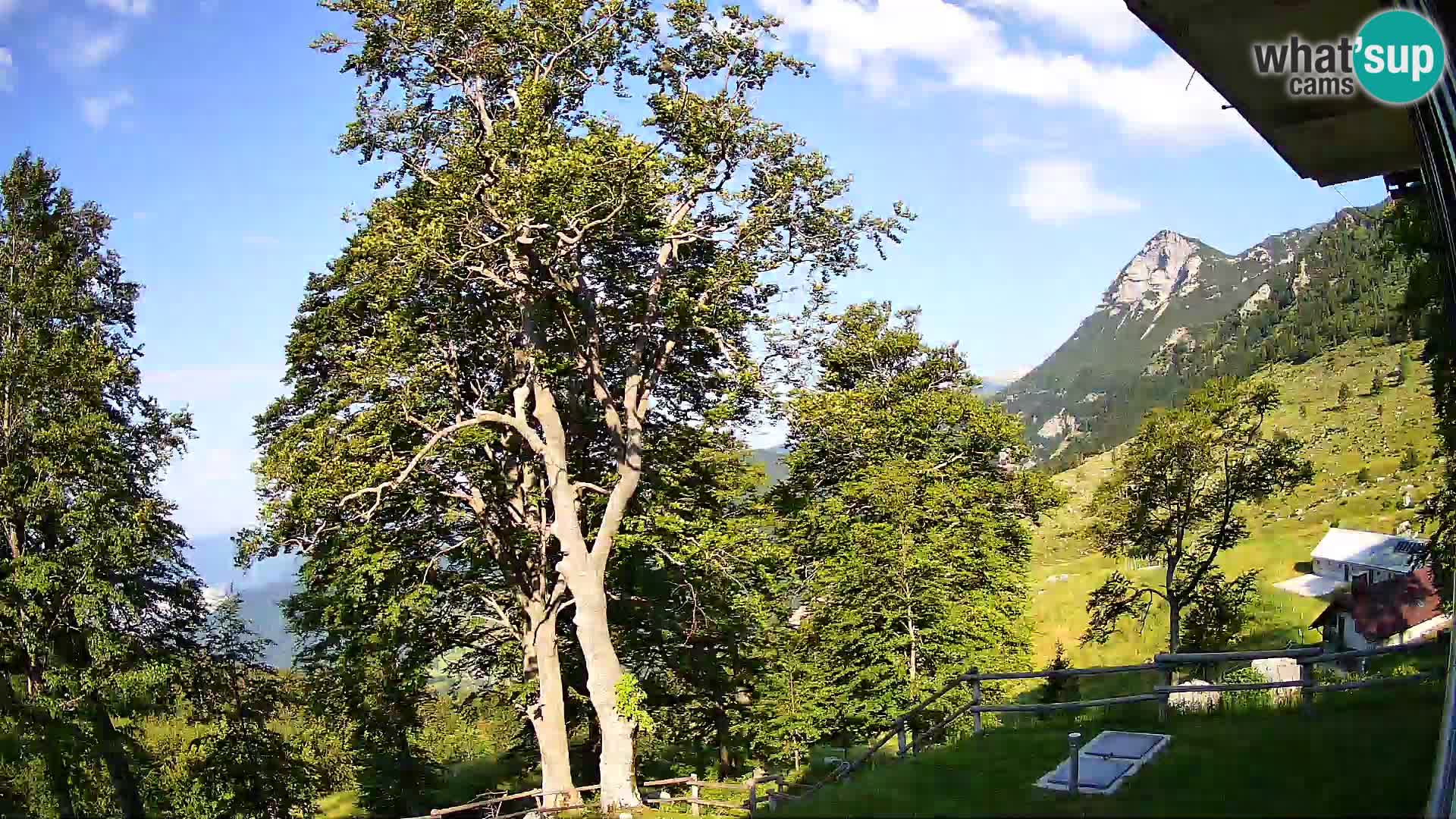 Cámara en vivo de la cabaña de montaña Planina Razor (1315) | vista hacia Tolminski Migovec