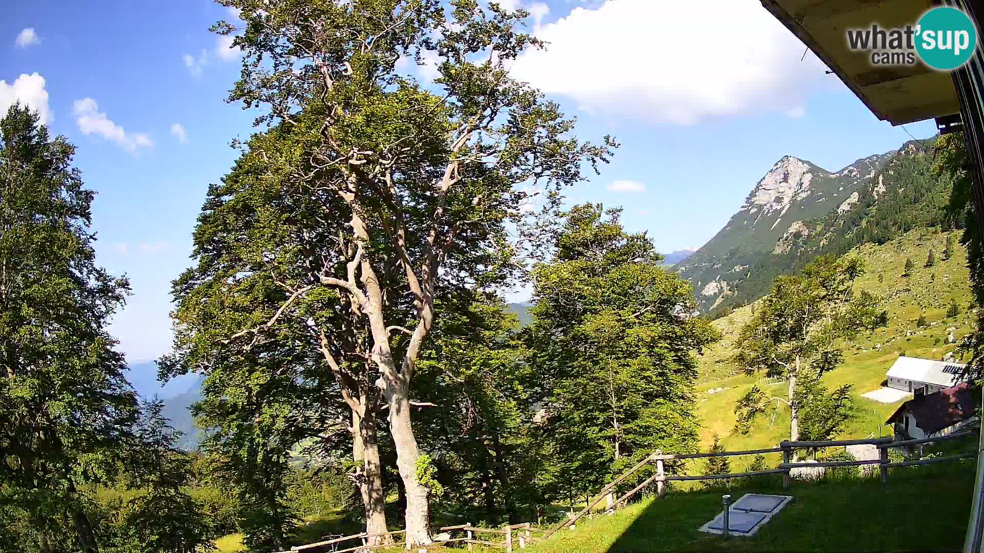 Planina Razor Mountain Hut live cam (1315) | view to Tolminski Migovec