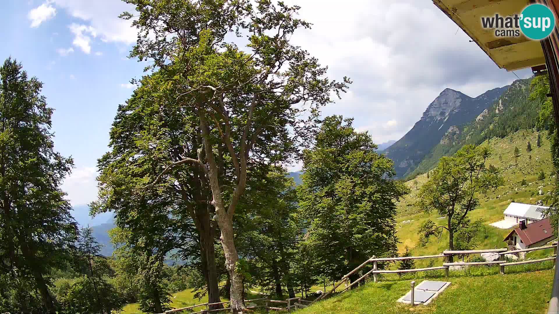 Planina Razor Bergütte Webcam (1315) | Blick auf Tolminski Migovec