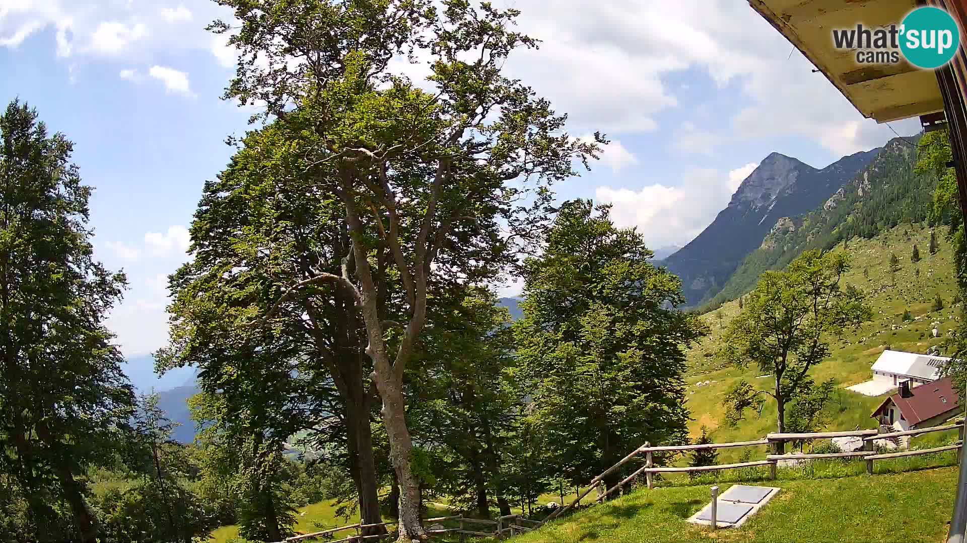 Planina Razor Mountain Hut live cam (1315) | view to Tolminski Migovec
