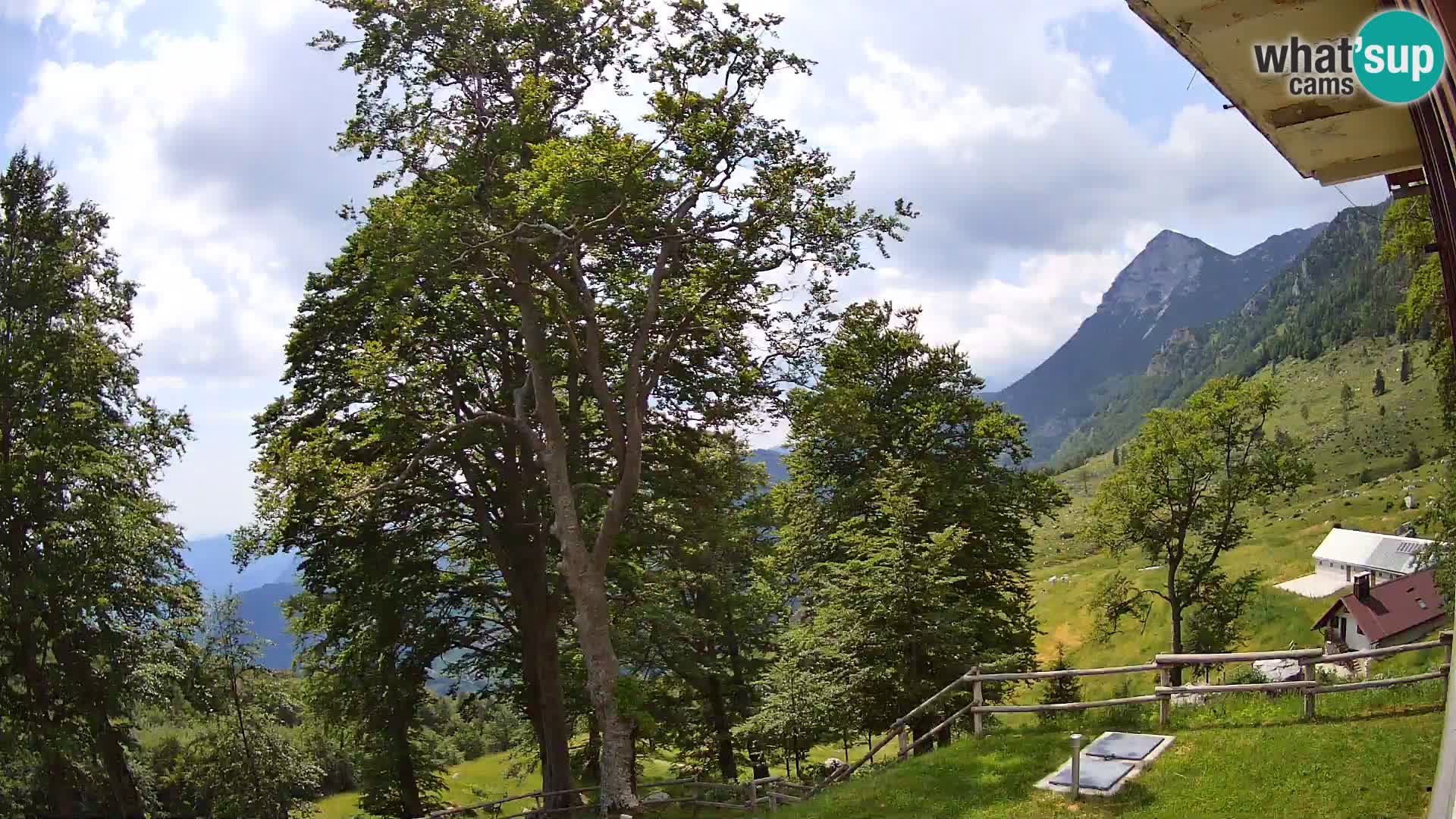 Planina Razor Bergütte Webcam (1315) | Blick auf Tolminski Migovec