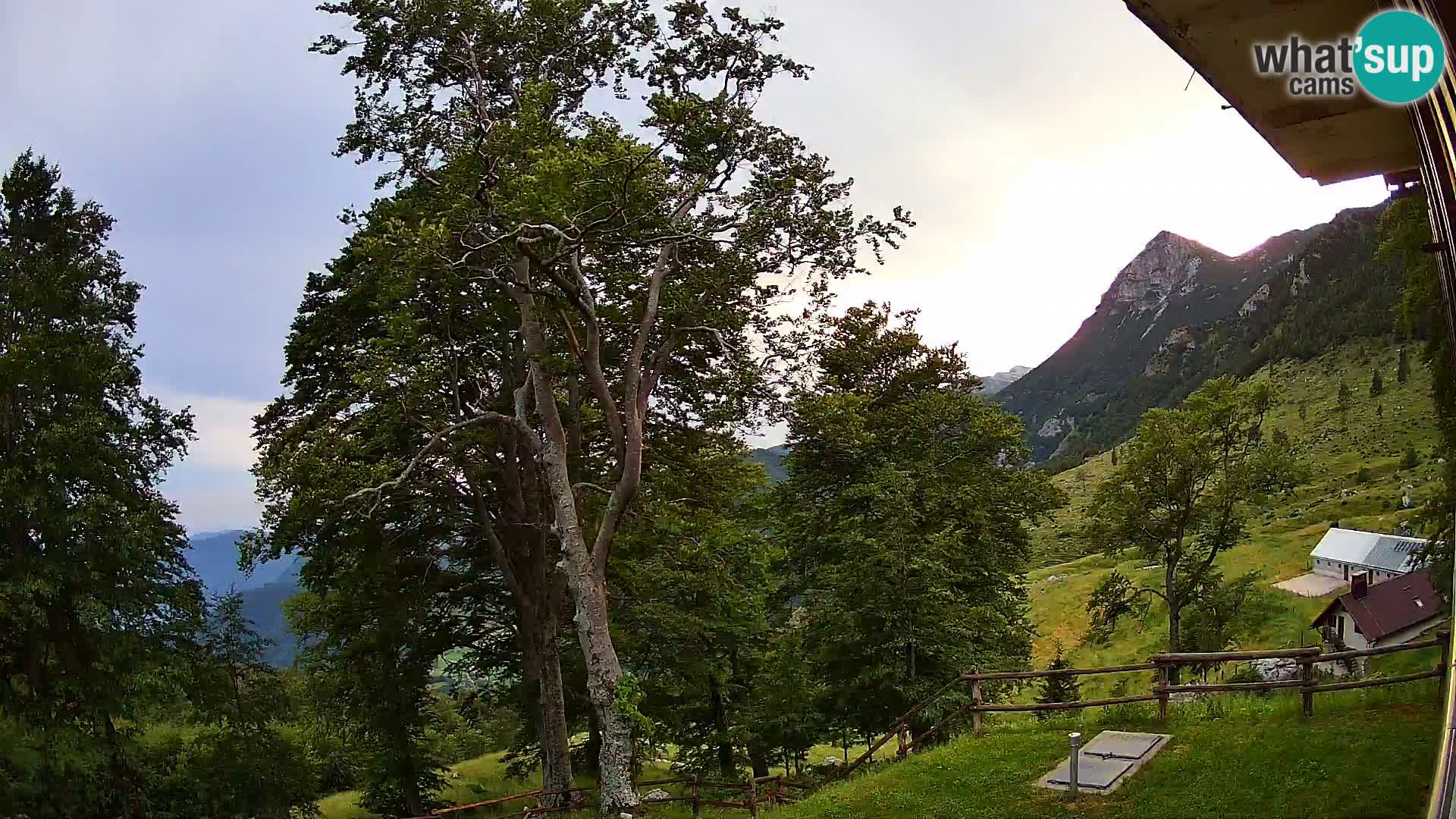 Planina Razor Bergütte Webcam (1315) | Blick auf Tolminski Migovec
