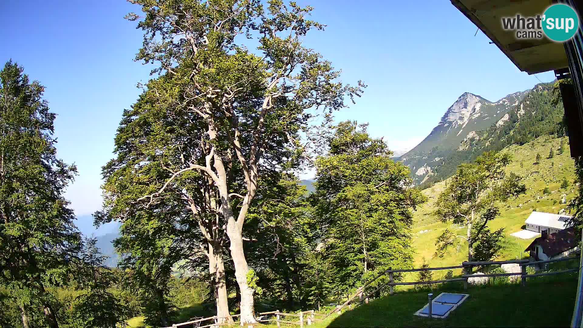 Planina Razor Mountain Hut live cam (1315) | view to Tolminski Migovec