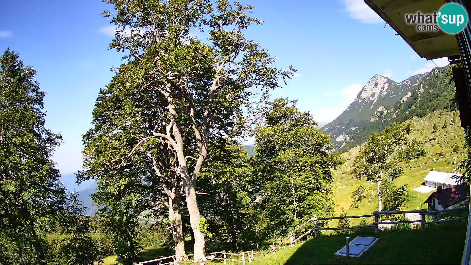 Planina Razor Bergütte Webcam (1315) | Blick auf Tolminski Migovec