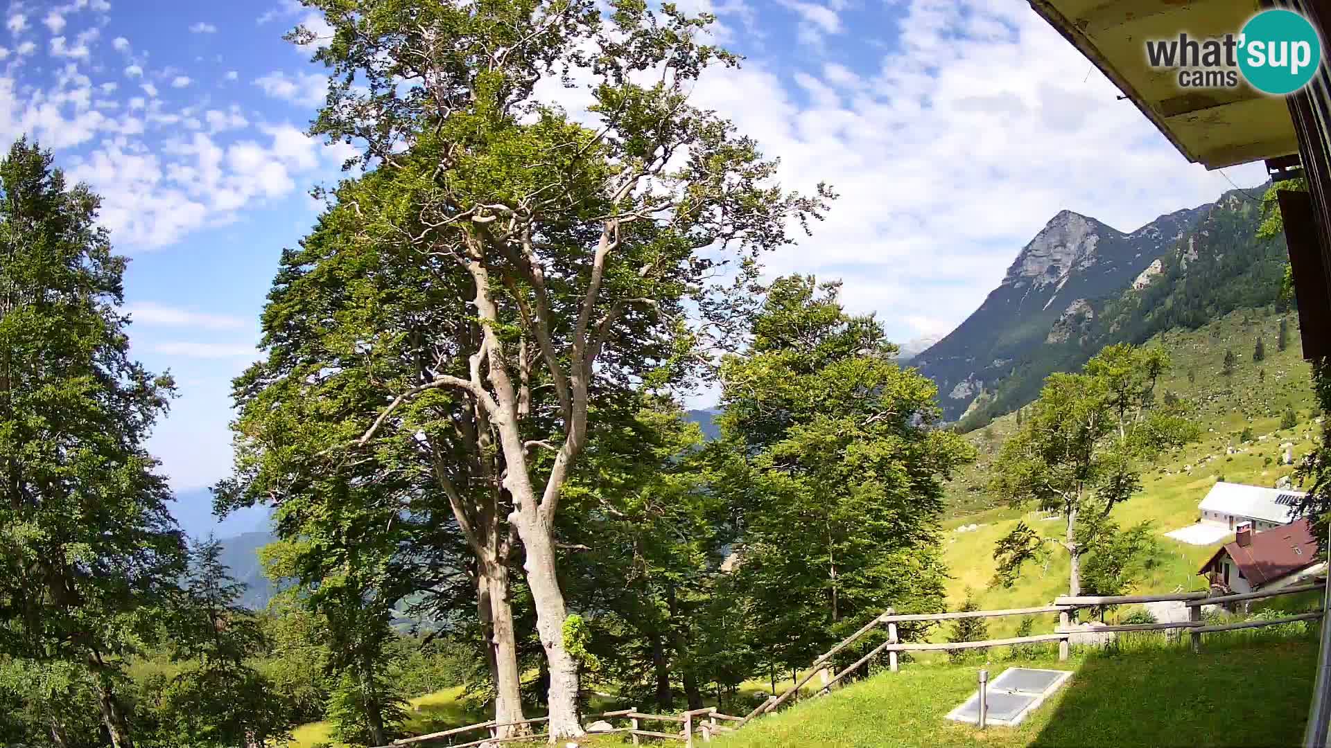 Planina Razor Mountain Hut live cam (1315) | view to Tolminski Migovec