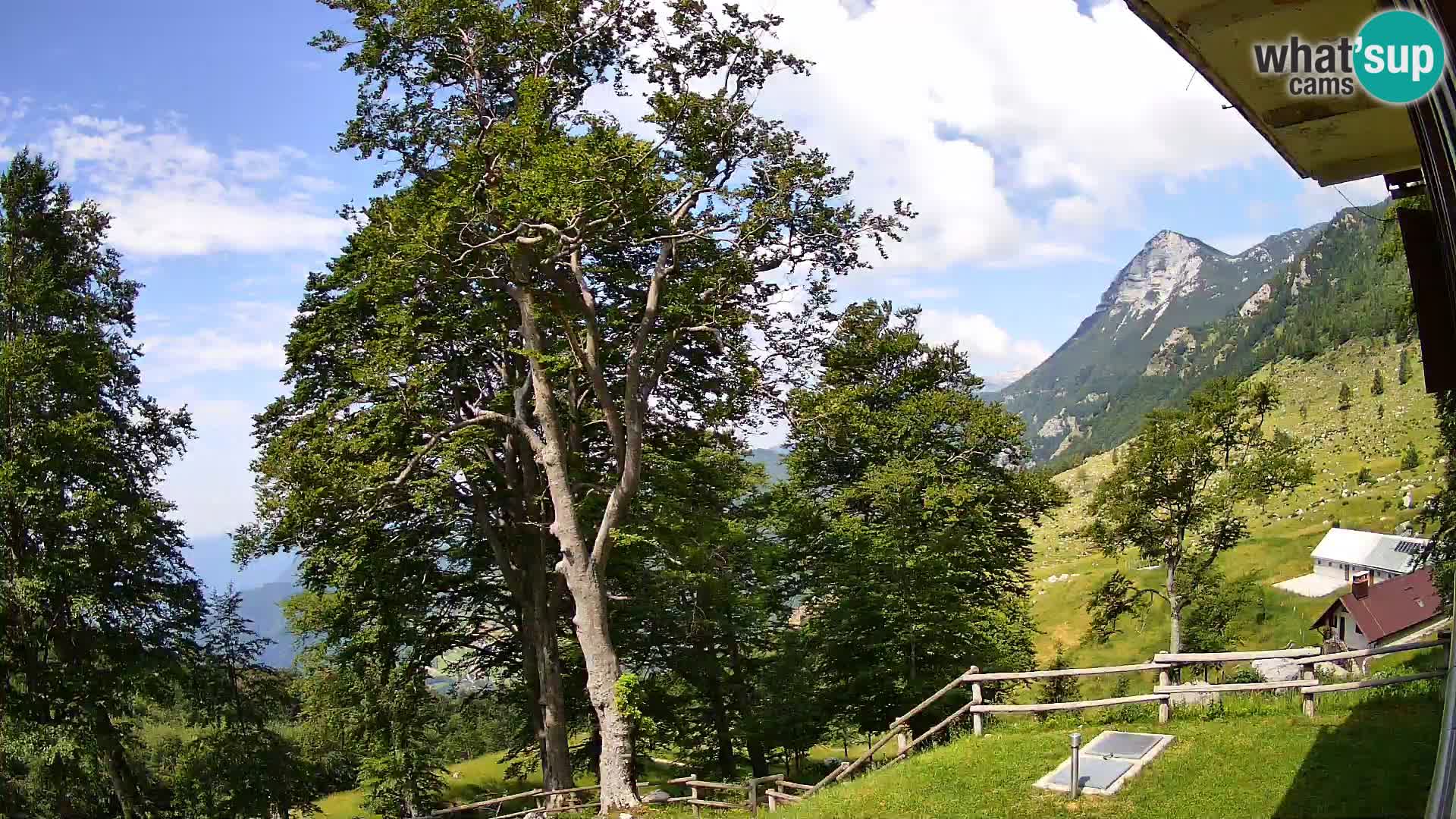 Cámara en vivo de la cabaña de montaña Planina Razor (1315) | vista hacia Tolminski Migovec