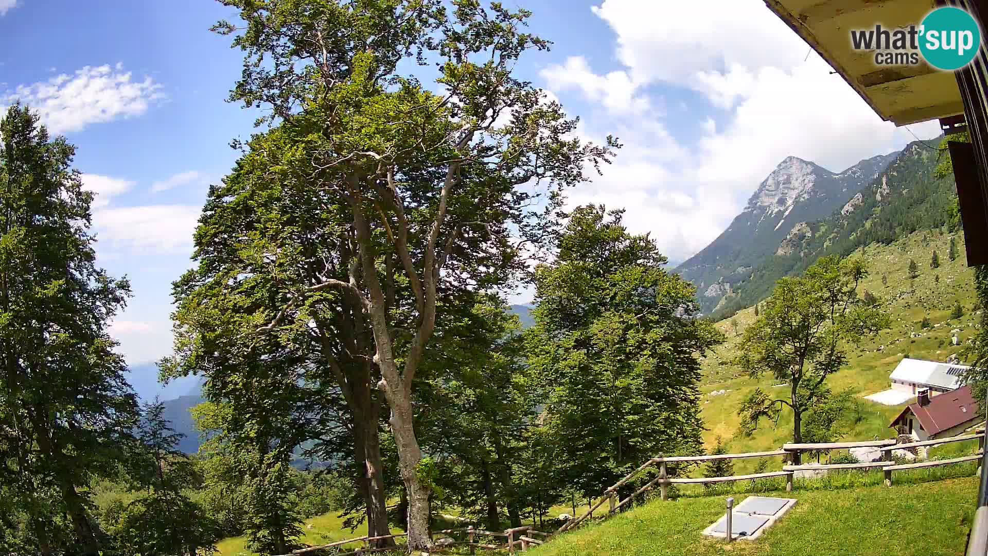 Baita di montagna Planina Razor webcam (1315) | vista su Tolminski Migovec