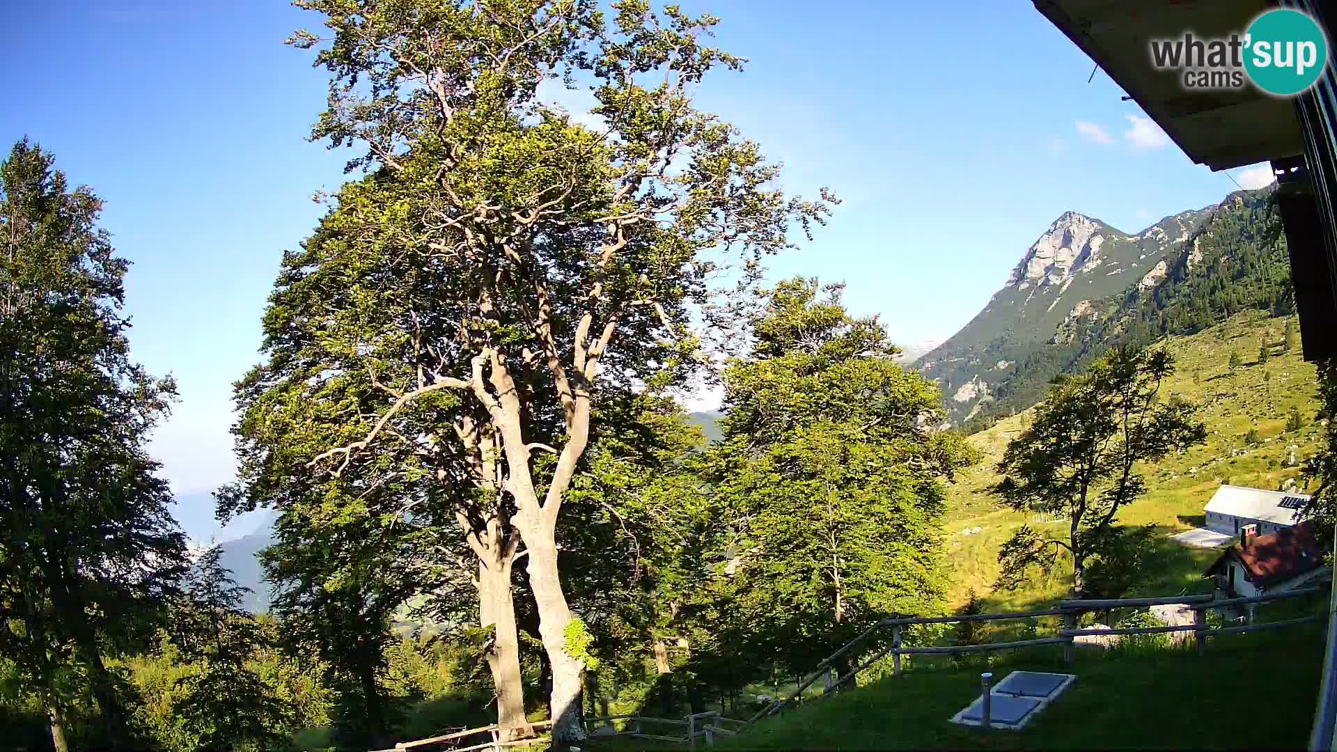 Baita di montagna Planina Razor webcam (1315) | vista su Tolminski Migovec