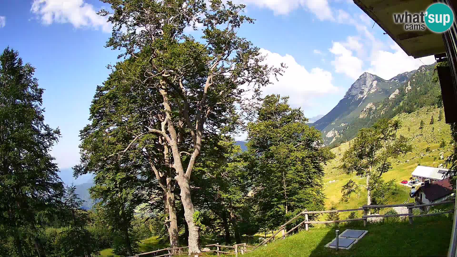 Planina Razor Bergütte Webcam (1315) | Blick auf Tolminski Migovec