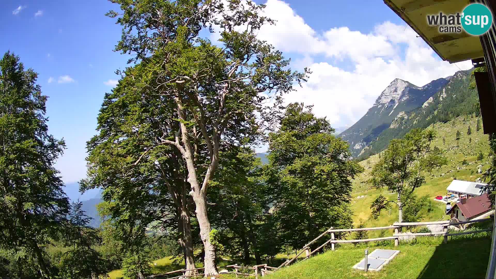 Planina Razor Bergütte Webcam (1315) | Blick auf Tolminski Migovec