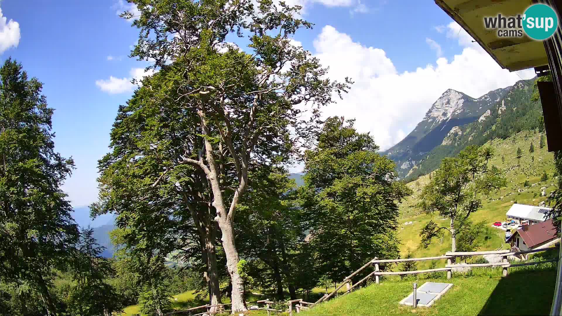 Planina Razor Mountain Hut live cam (1315) | view to Tolminski Migovec