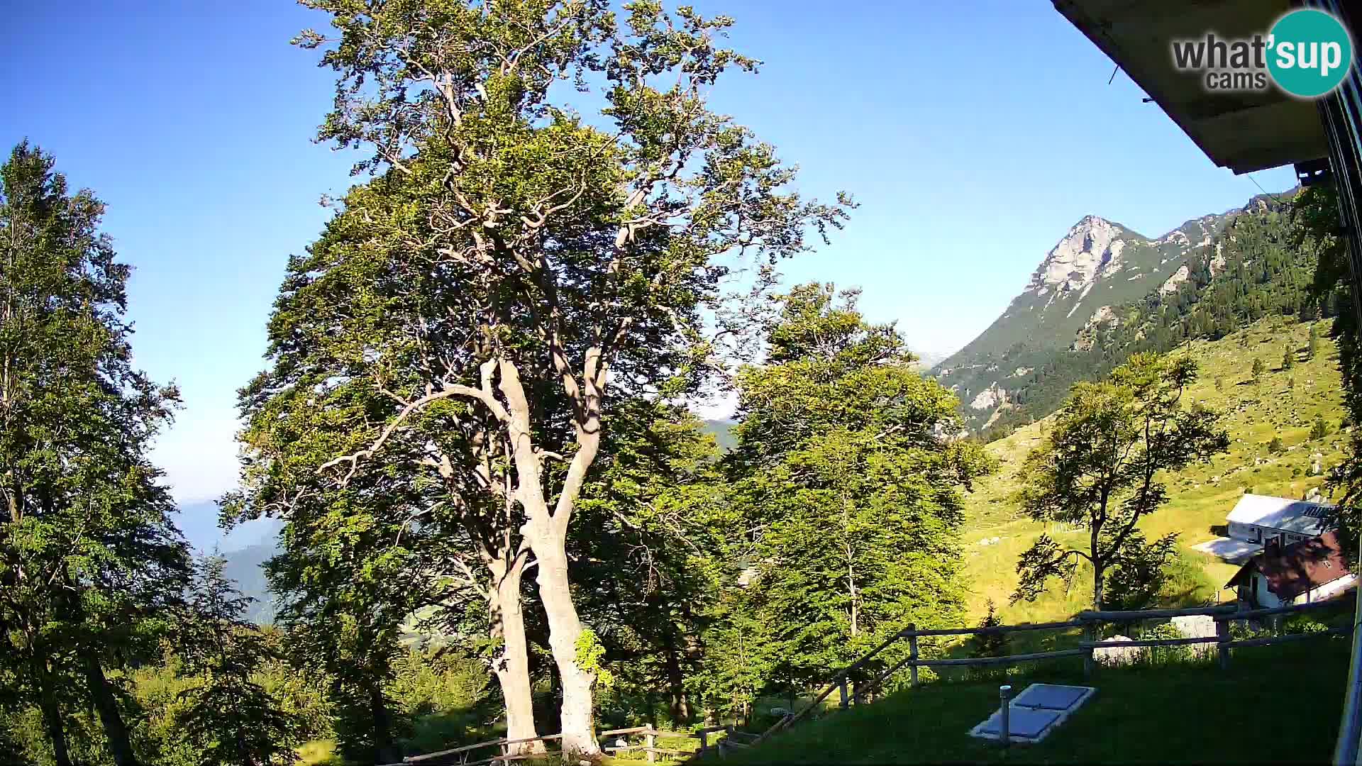 Planina Razor Bergütte Webcam (1315) | Blick auf Tolminski Migovec