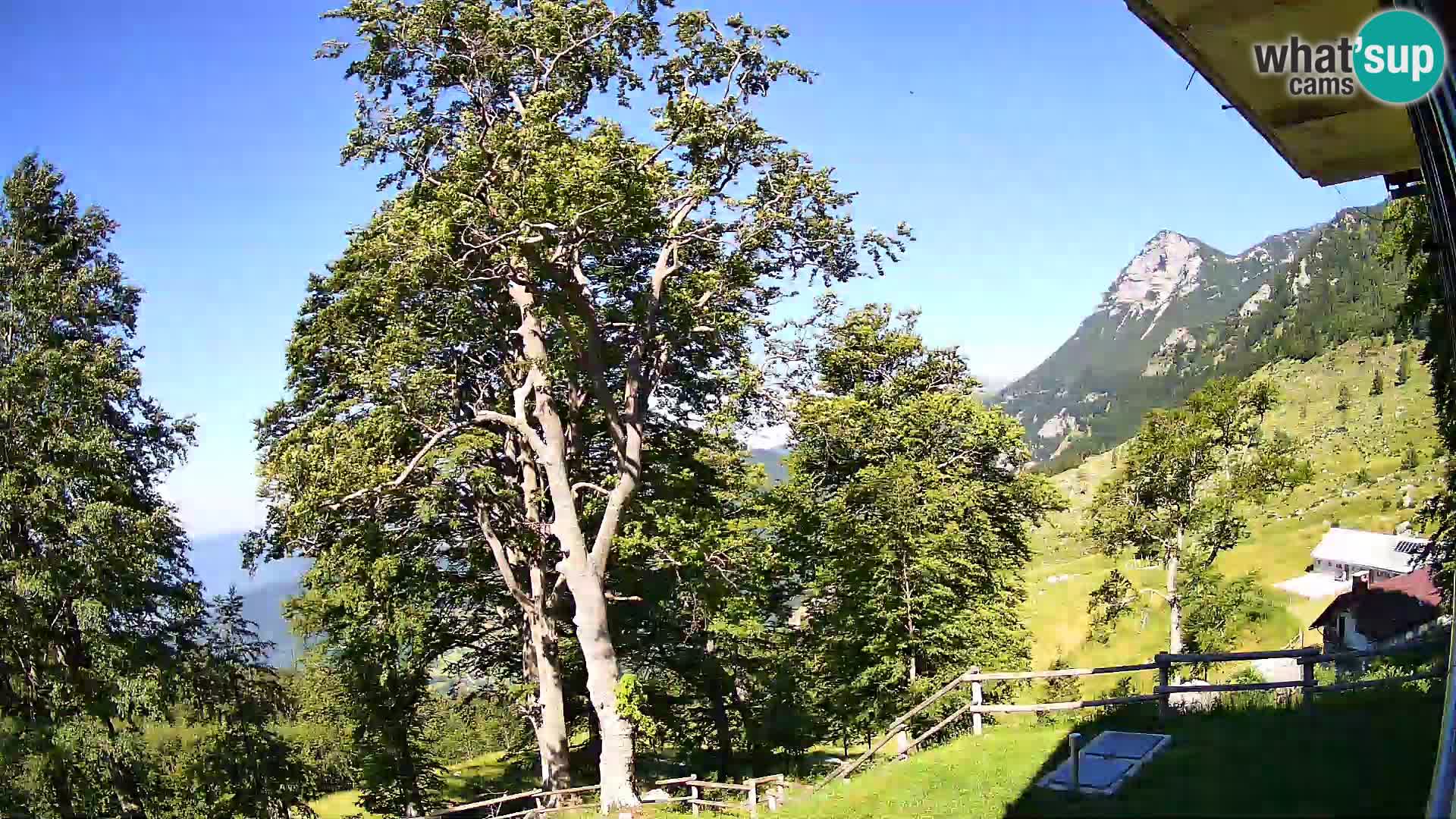 Planina Razor Bergütte Webcam (1315) | Blick auf Tolminski Migovec