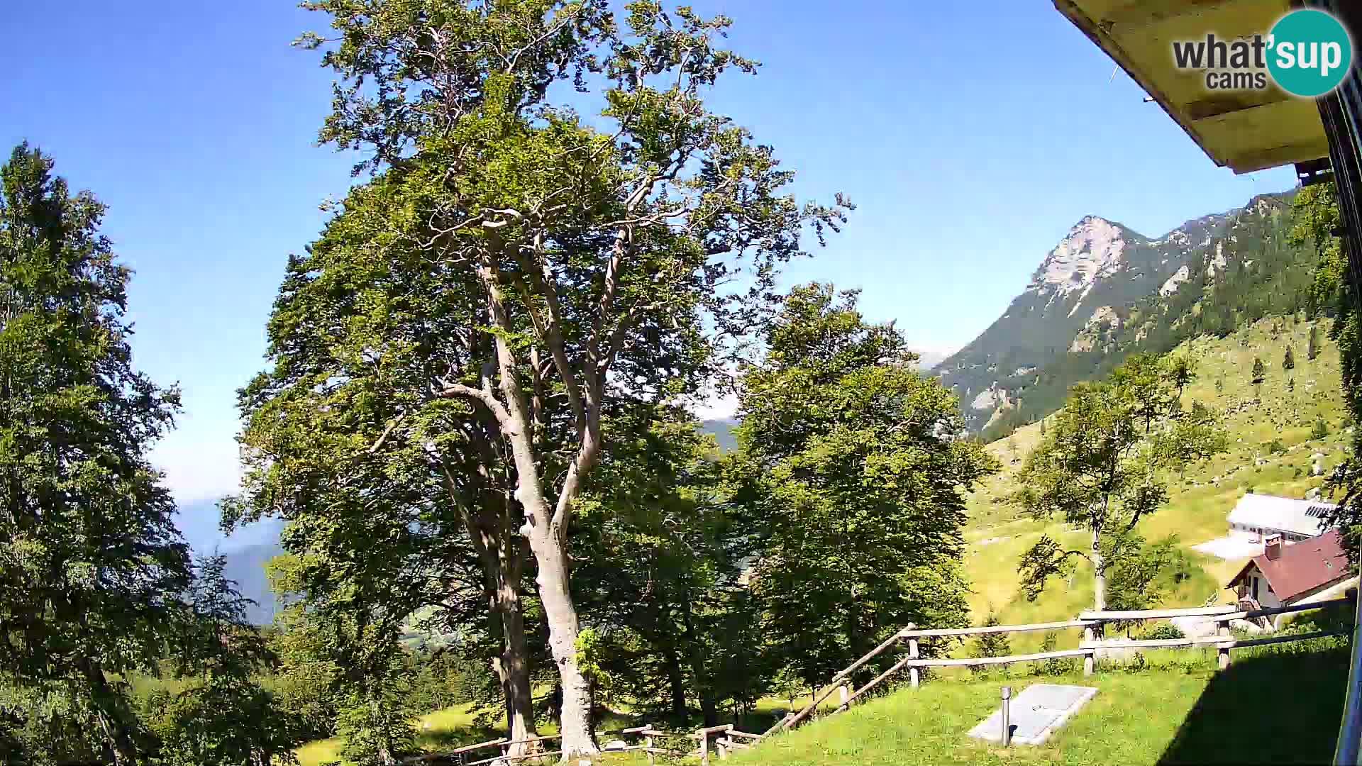 Refuge de la montagne Planina Razor caméra en direct (1315) | vue sur Tolminski Migovec