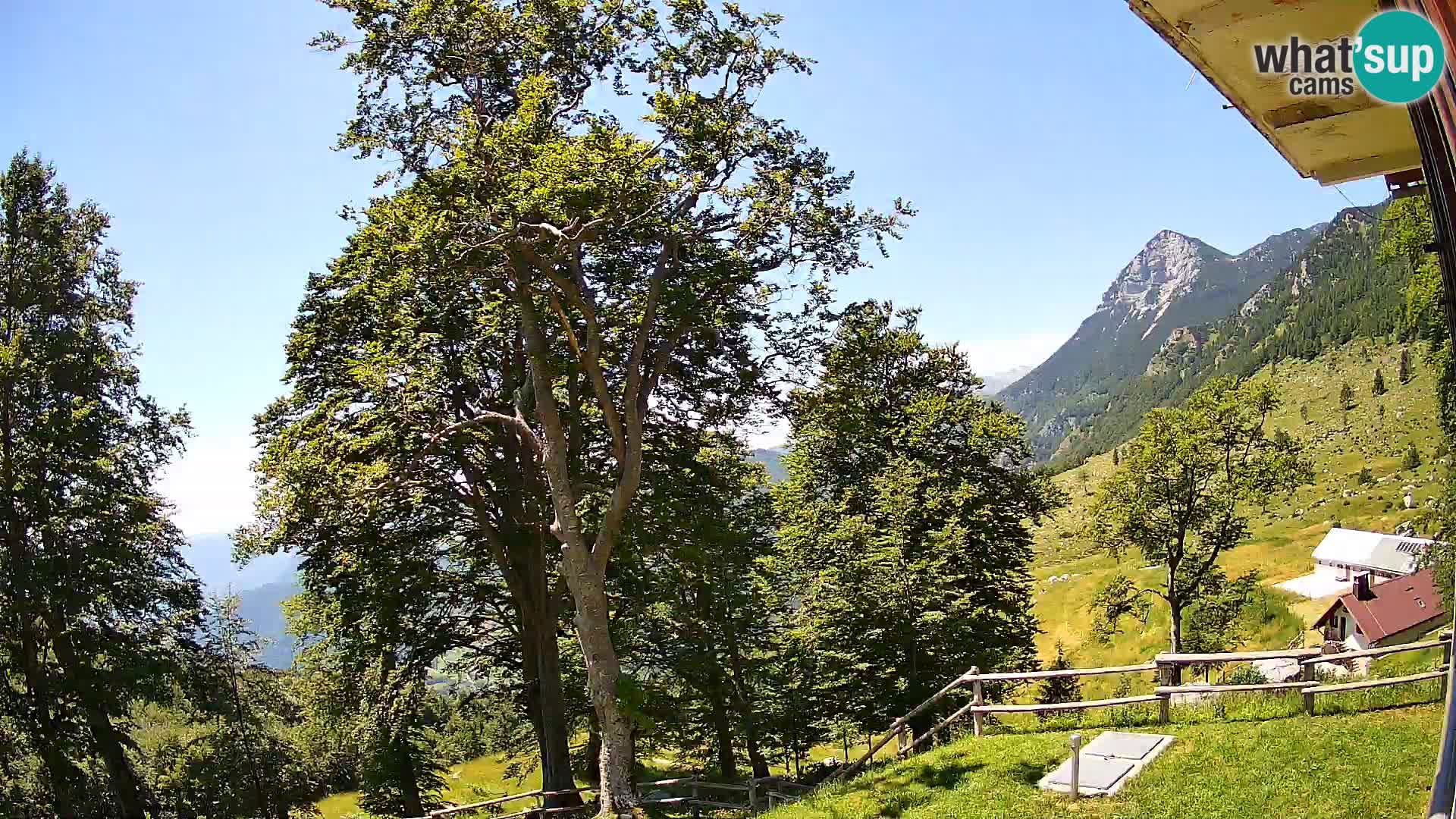 Planina Razor Mountain Hut live cam (1315) | view to Tolminski Migovec
