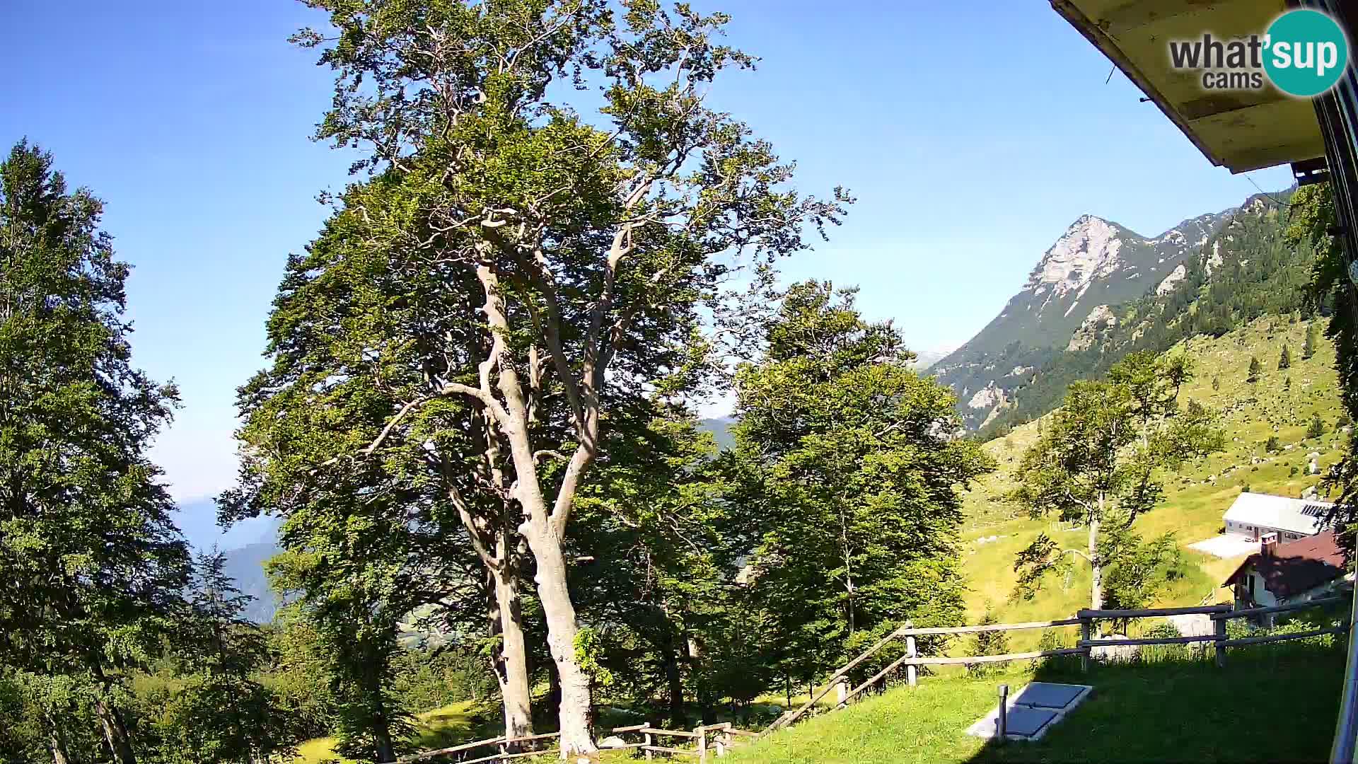 Planina Razor Bergütte Webcam (1315) | Blick auf Tolminski Migovec