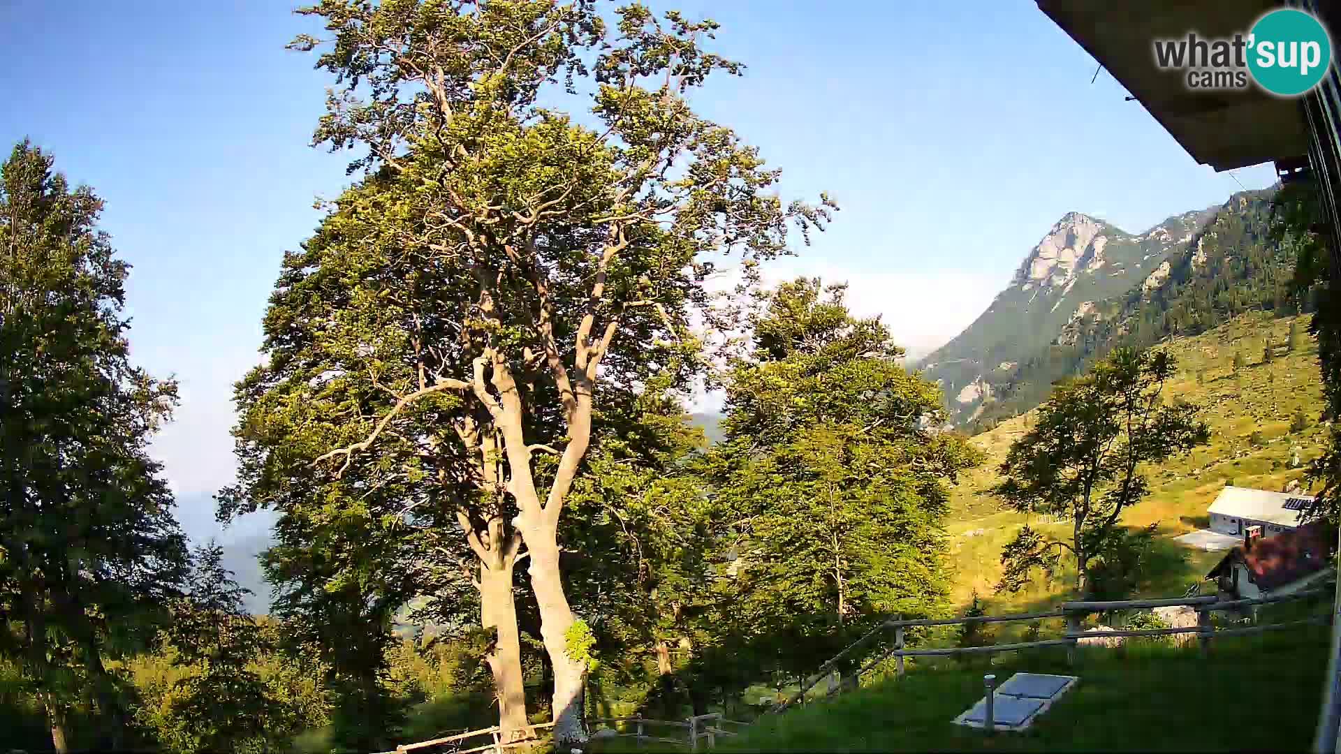Planina Razor Bergütte Webcam (1315) | Blick auf Tolminski Migovec