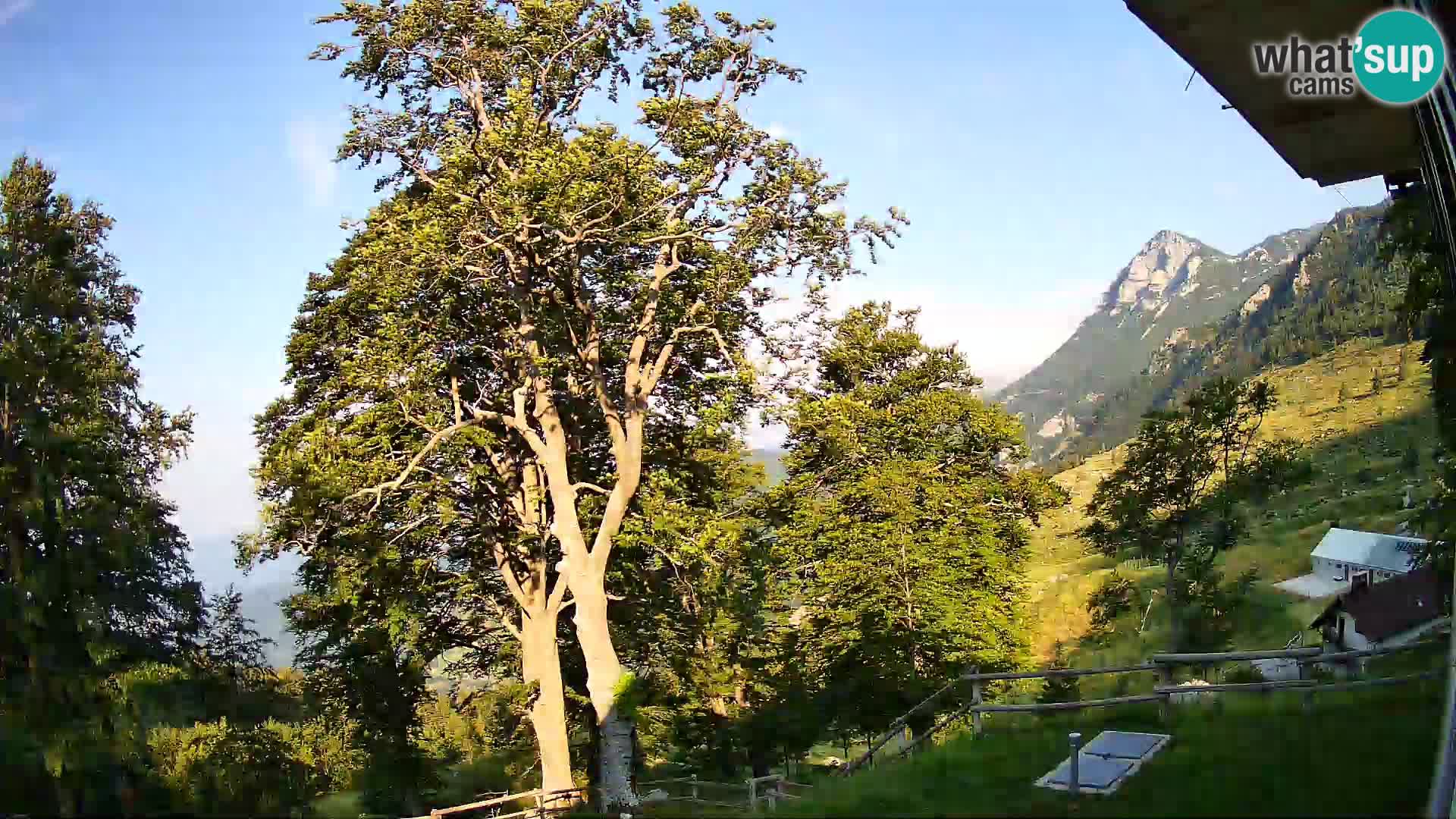 Refuge de la montagne Planina Razor caméra en direct (1315) | vue sur Tolminski Migovec