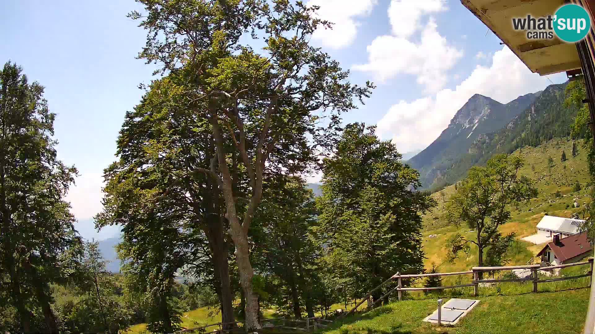 Cámara en vivo de la cabaña de montaña Planina Razor (1315) | vista hacia Tolminski Migovec