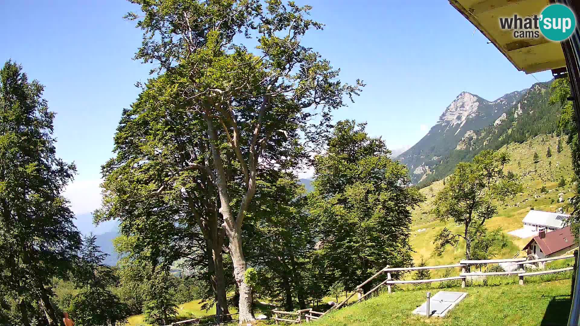Planina Razor Mountain Hut live cam (1315) | view to Tolminski Migovec