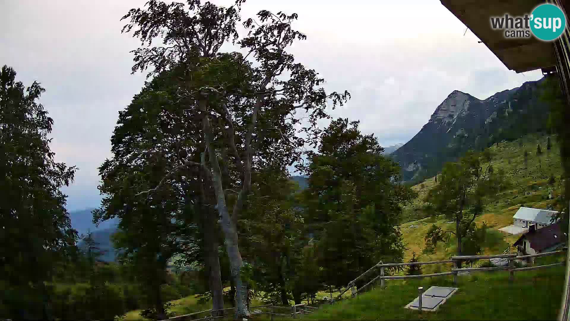 Cámara en vivo de la cabaña de montaña Planina Razor (1315) | vista hacia Tolminski Migovec