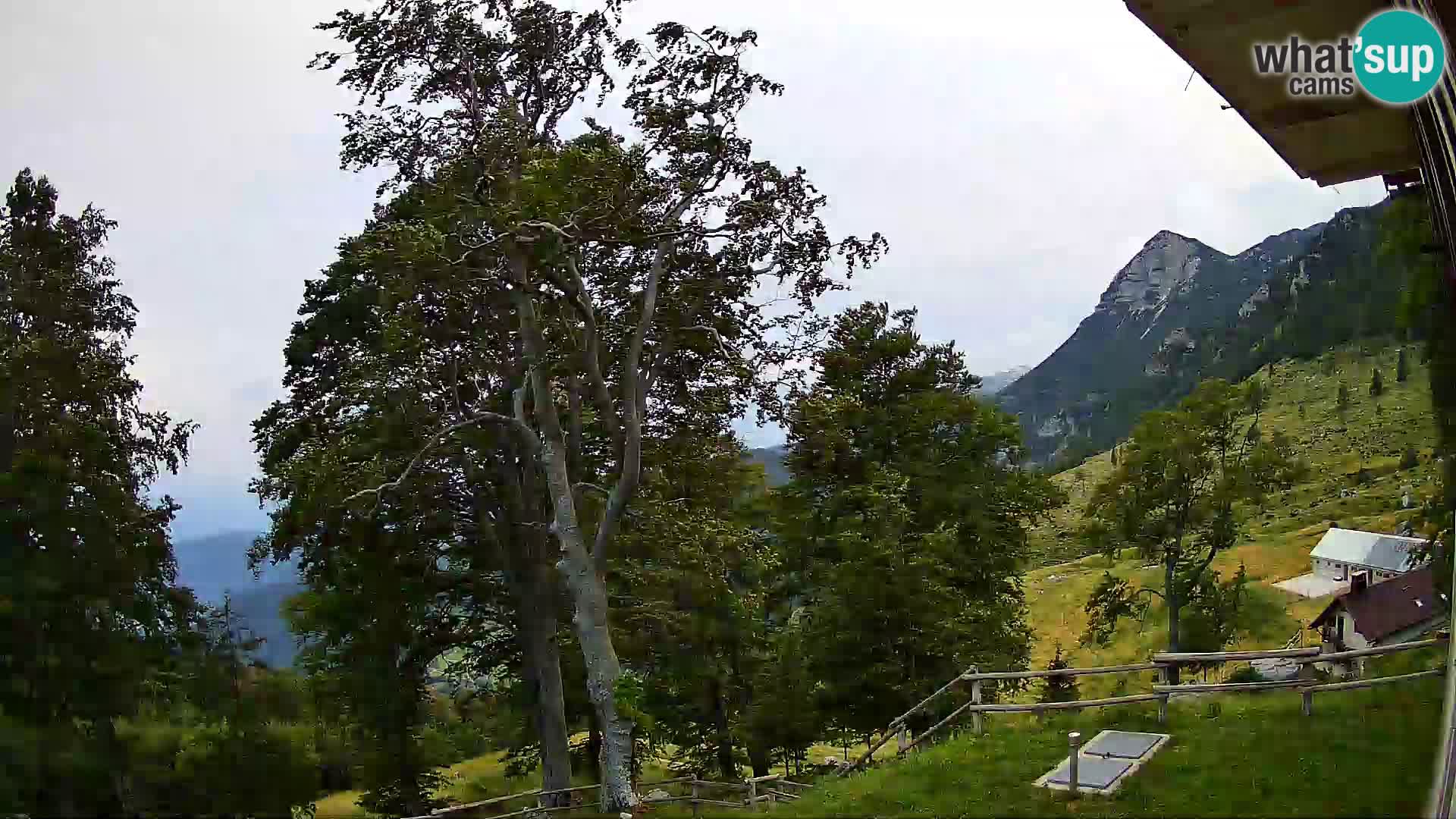 Refuge de la montagne Planina Razor caméra en direct (1315) | vue sur Tolminski Migovec