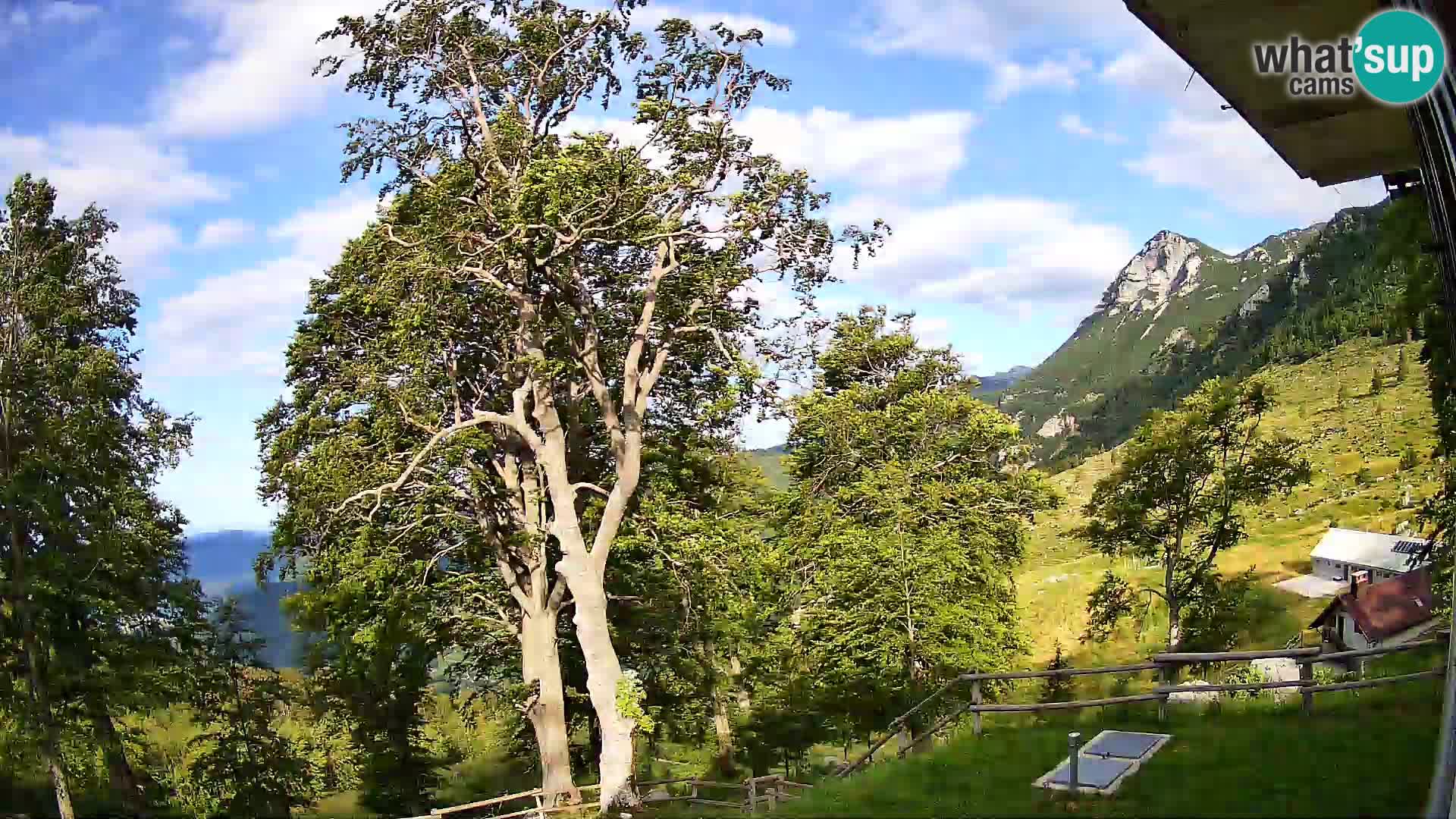 Baita di montagna Planina Razor webcam (1315) | vista su Tolminski Migovec