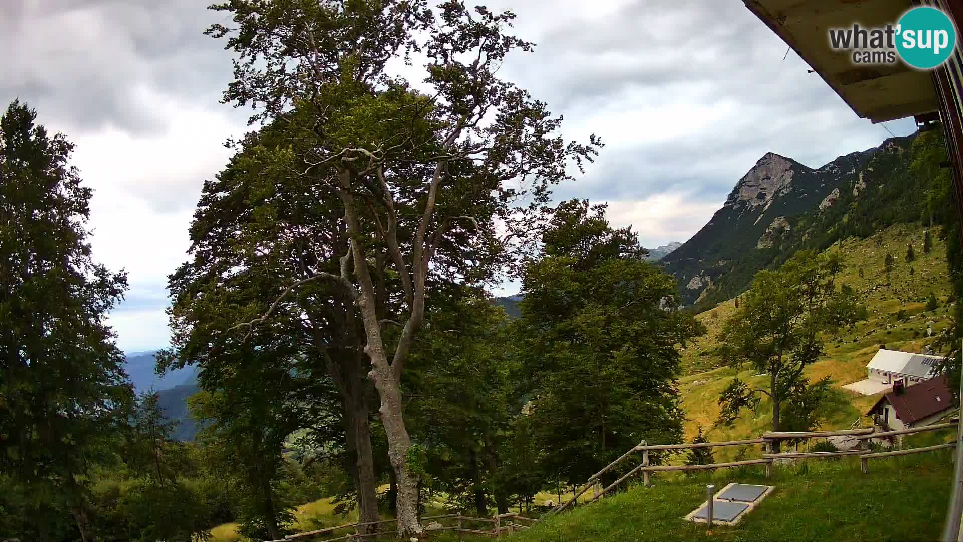 Planina Razor Bergütte Webcam (1315) | Blick auf Tolminski Migovec