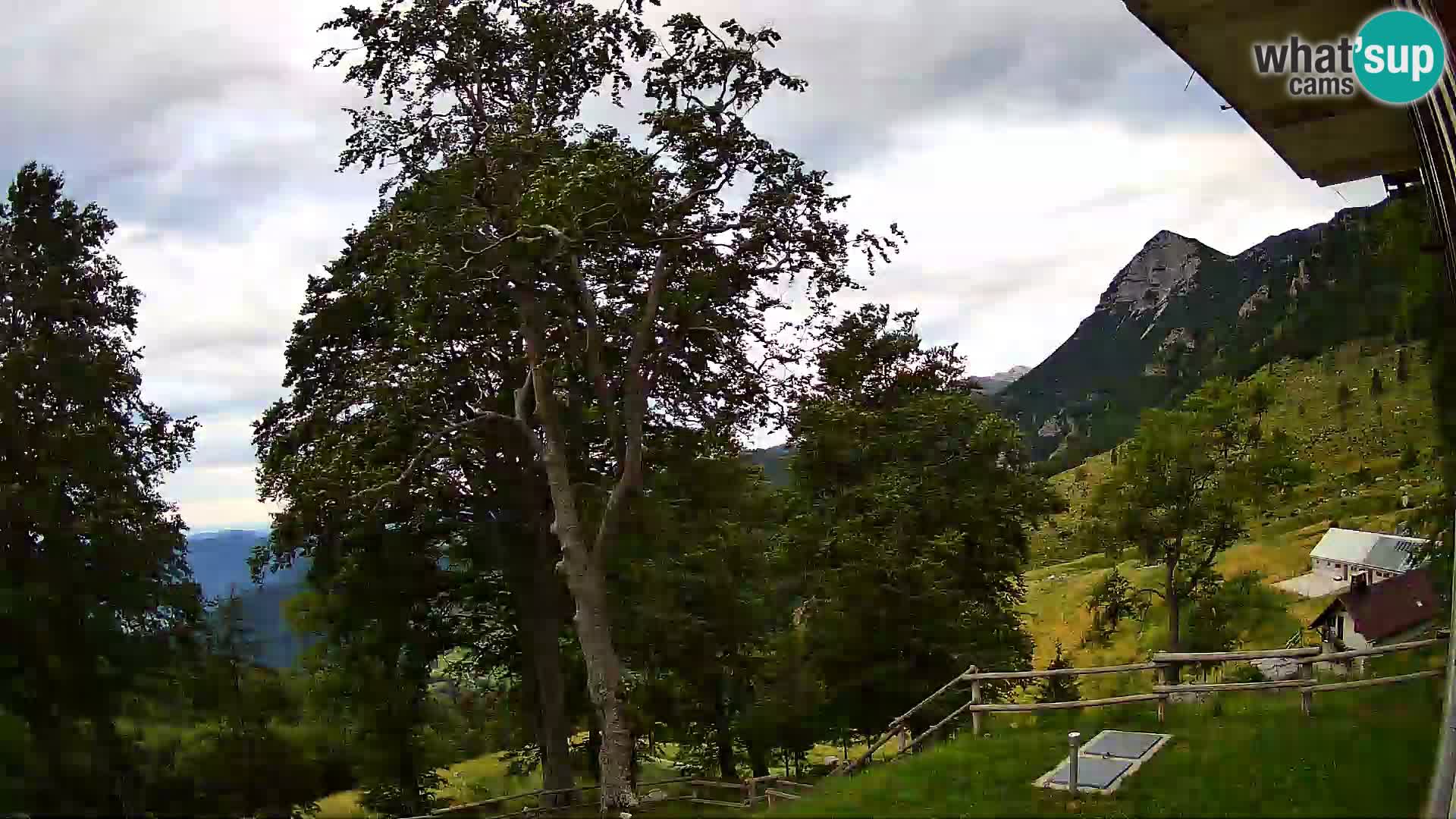 Planina Razor Mountain Hut live cam (1315) | view to Tolminski Migovec