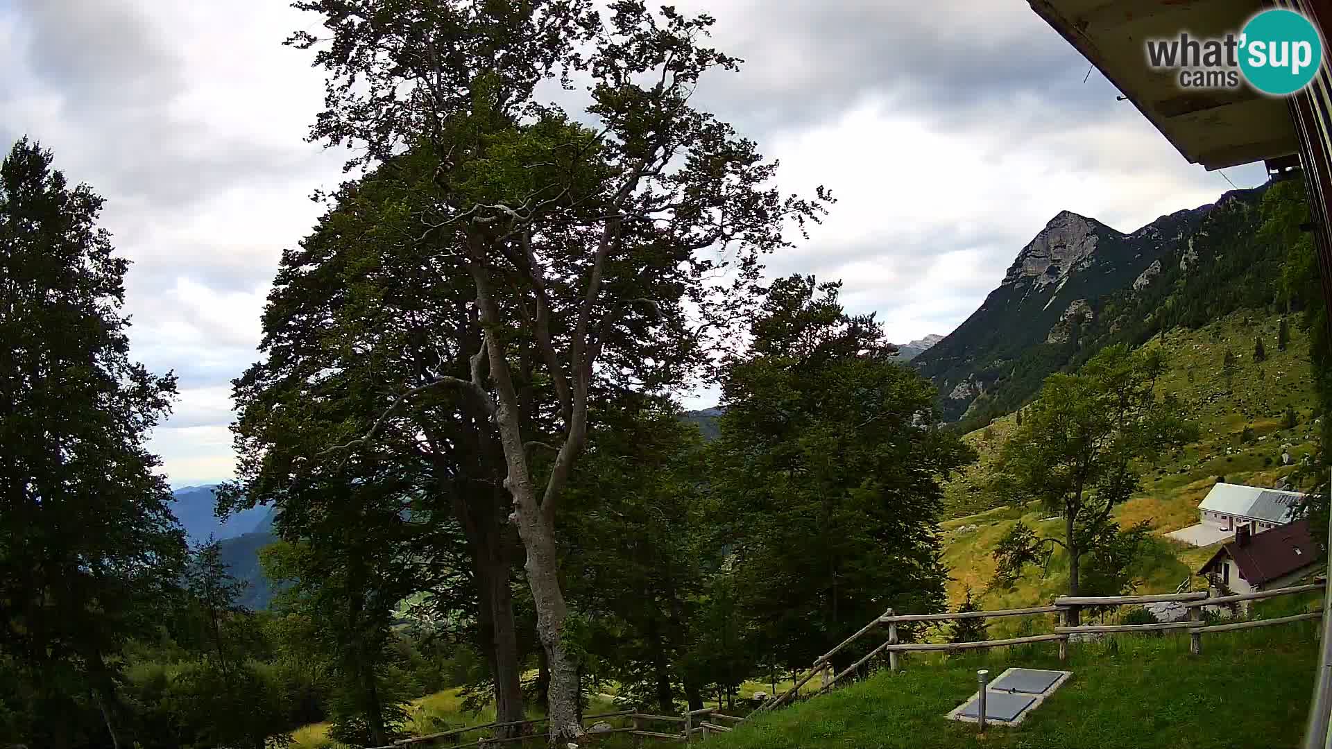 Planina Razor Bergütte Webcam (1315) | Blick auf Tolminski Migovec