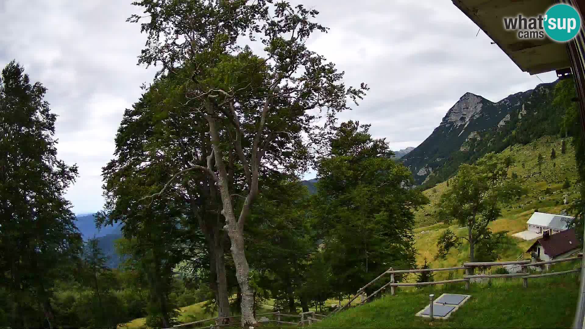 Planina Razor Bergütte Webcam (1315) | Blick auf Tolminski Migovec