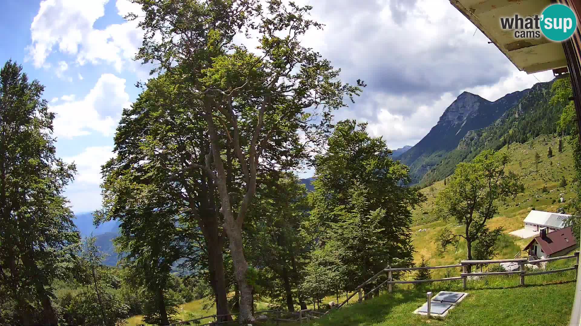 Planina Razor Mountain Hut live cam (1315) | view to Tolminski Migovec