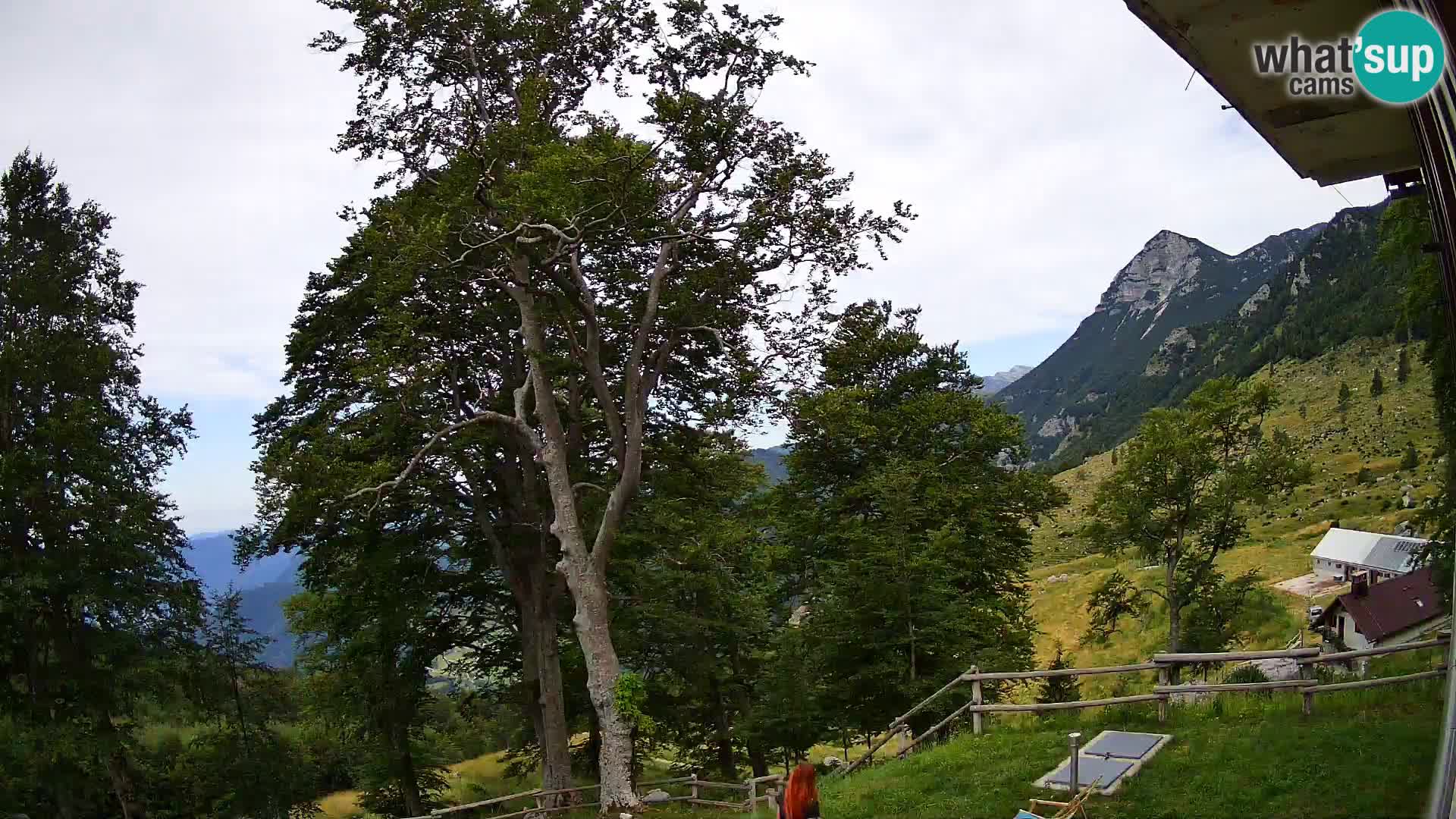 Baita di montagna Planina Razor webcam (1315) | vista su Tolminski Migovec