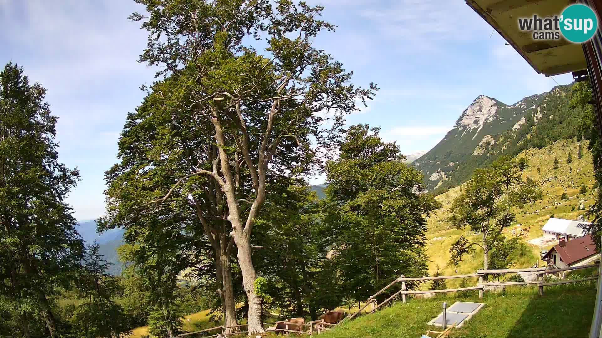 Baita di montagna Planina Razor webcam (1315) | vista su Tolminski Migovec