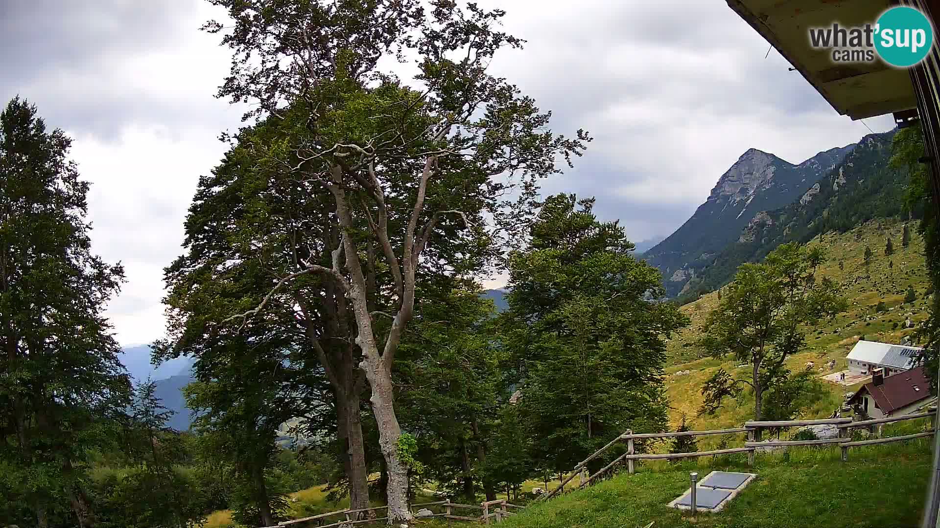 Cámara en vivo de la cabaña de montaña Planina Razor (1315) | vista hacia Tolminski Migovec