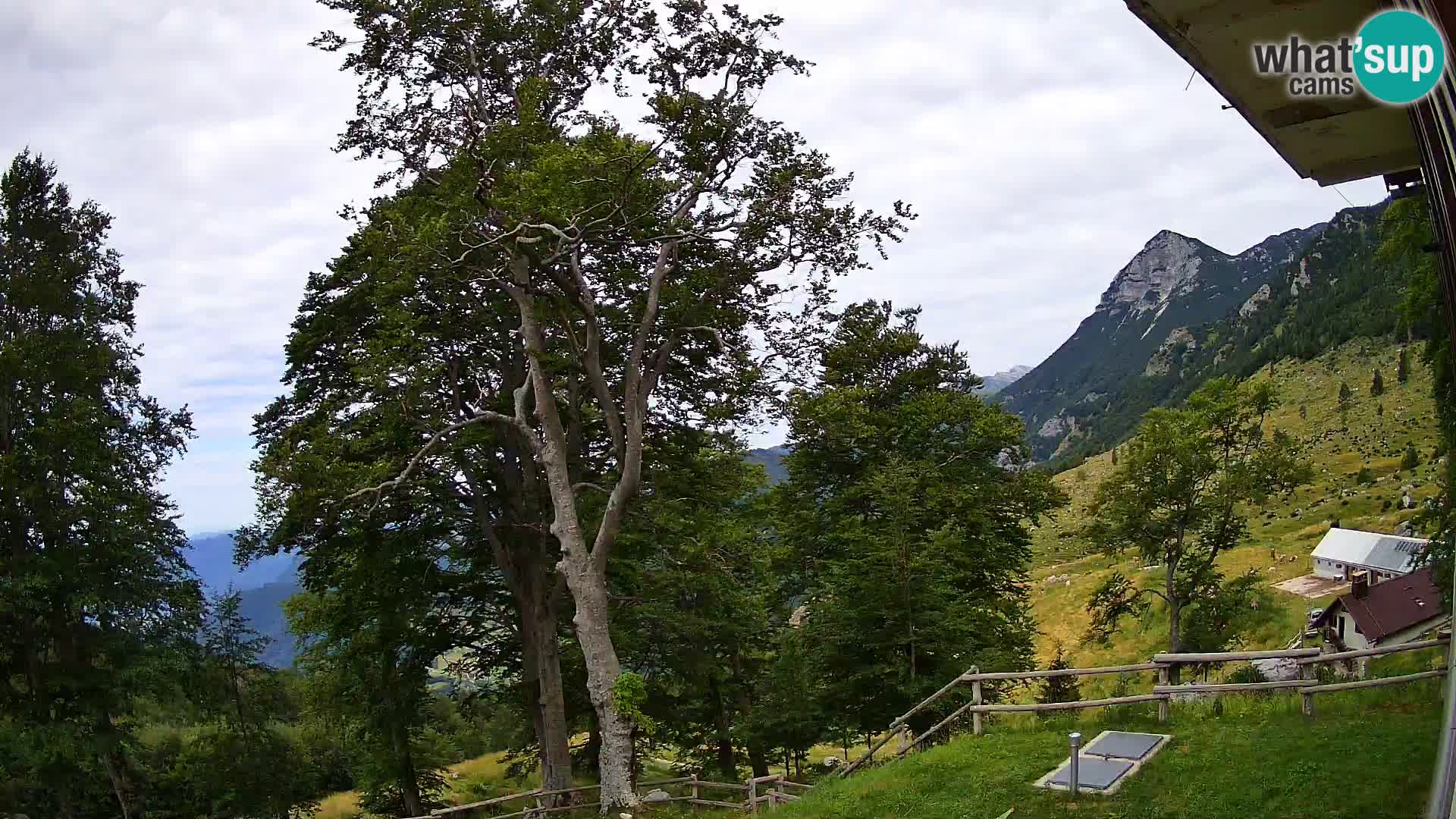Planina Razor Mountain Hut live cam (1315) | view to Tolminski Migovec
