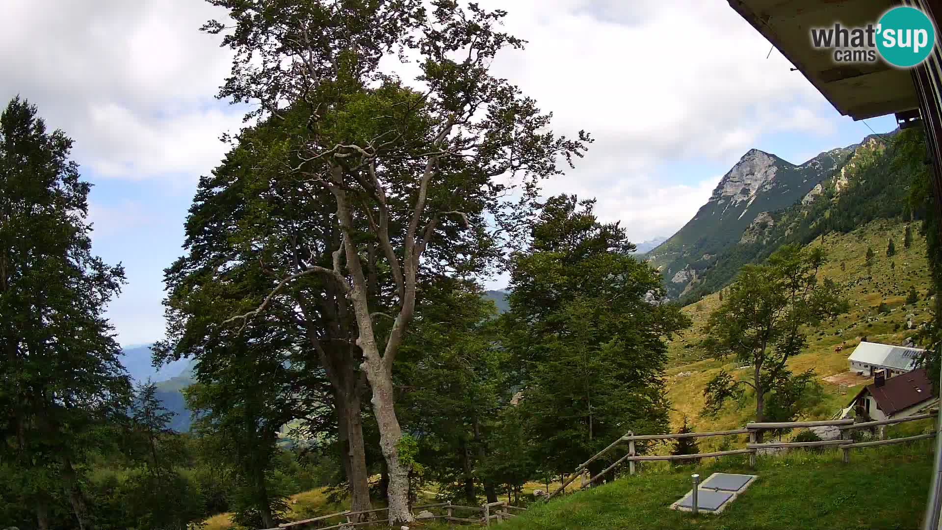 Baita di montagna Planina Razor webcam (1315) | vista su Tolminski Migovec