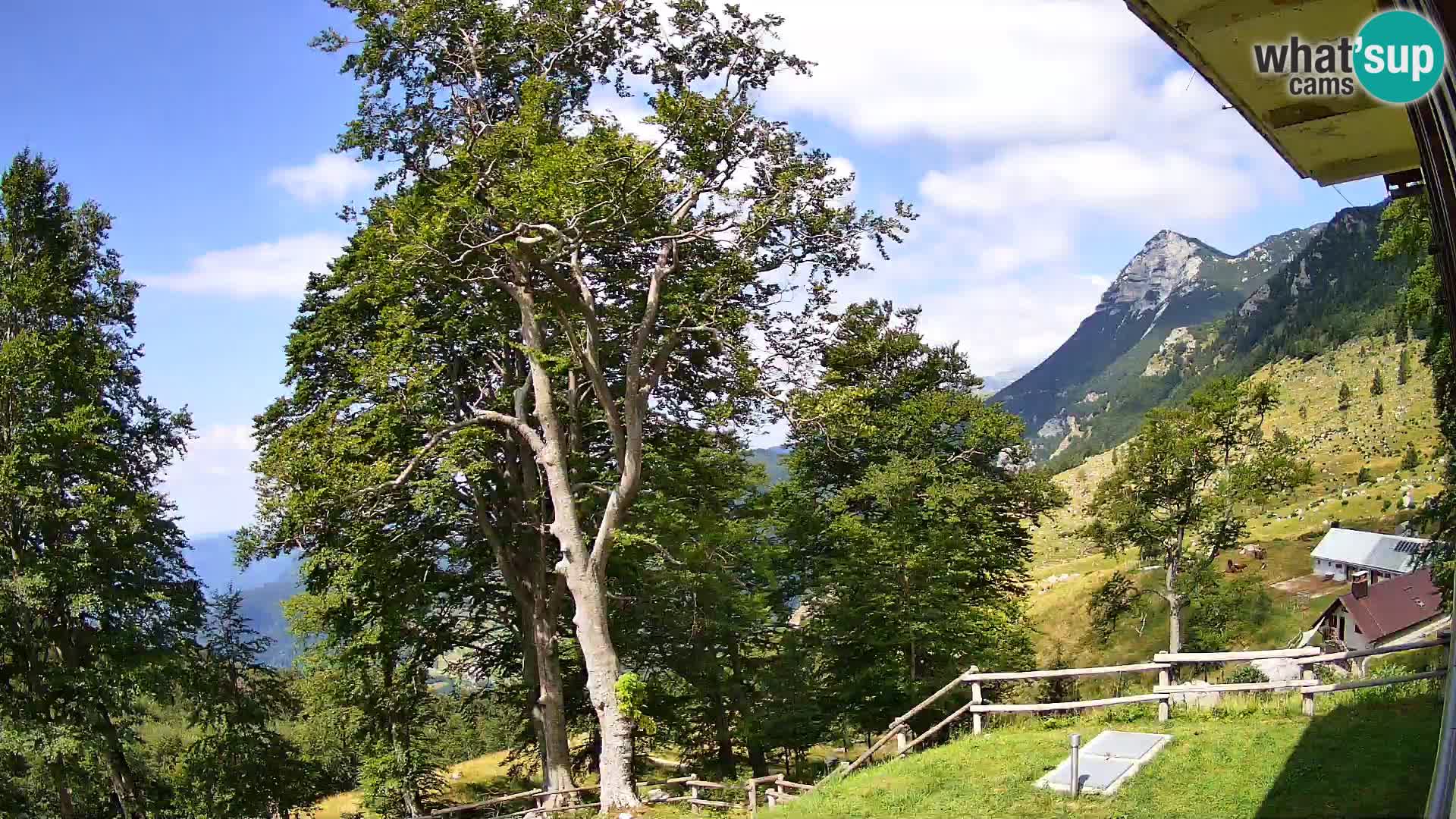Cámara en vivo de la cabaña de montaña Planina Razor (1315) | vista hacia Tolminski Migovec
