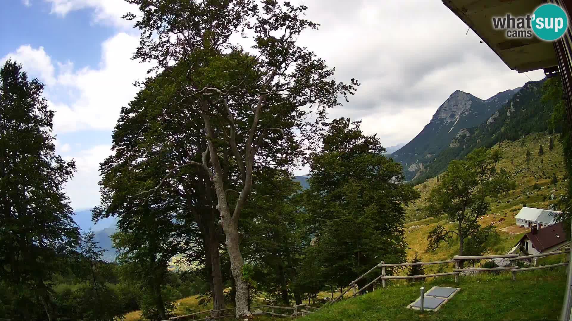 Cámara en vivo de la cabaña de montaña Planina Razor (1315) | vista hacia Tolminski Migovec
