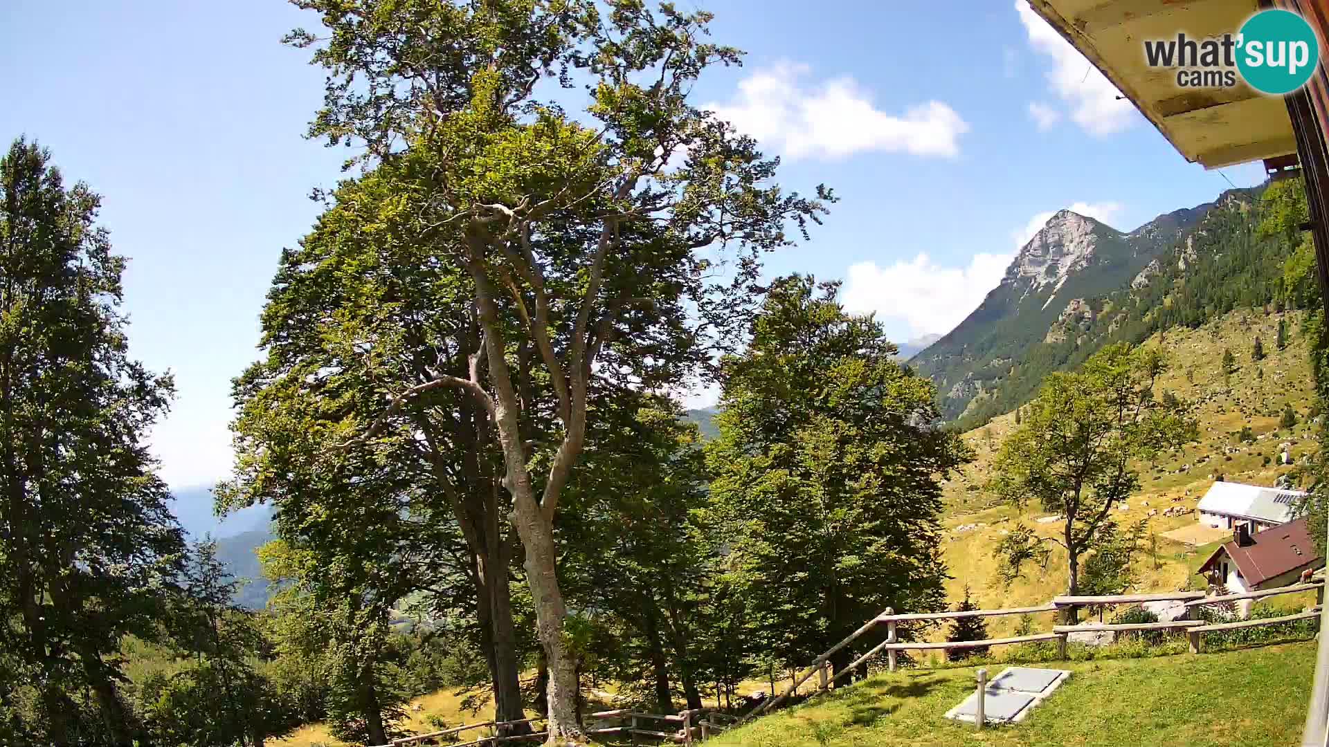 Baita di montagna Planina Razor webcam (1315) | vista su Tolminski Migovec