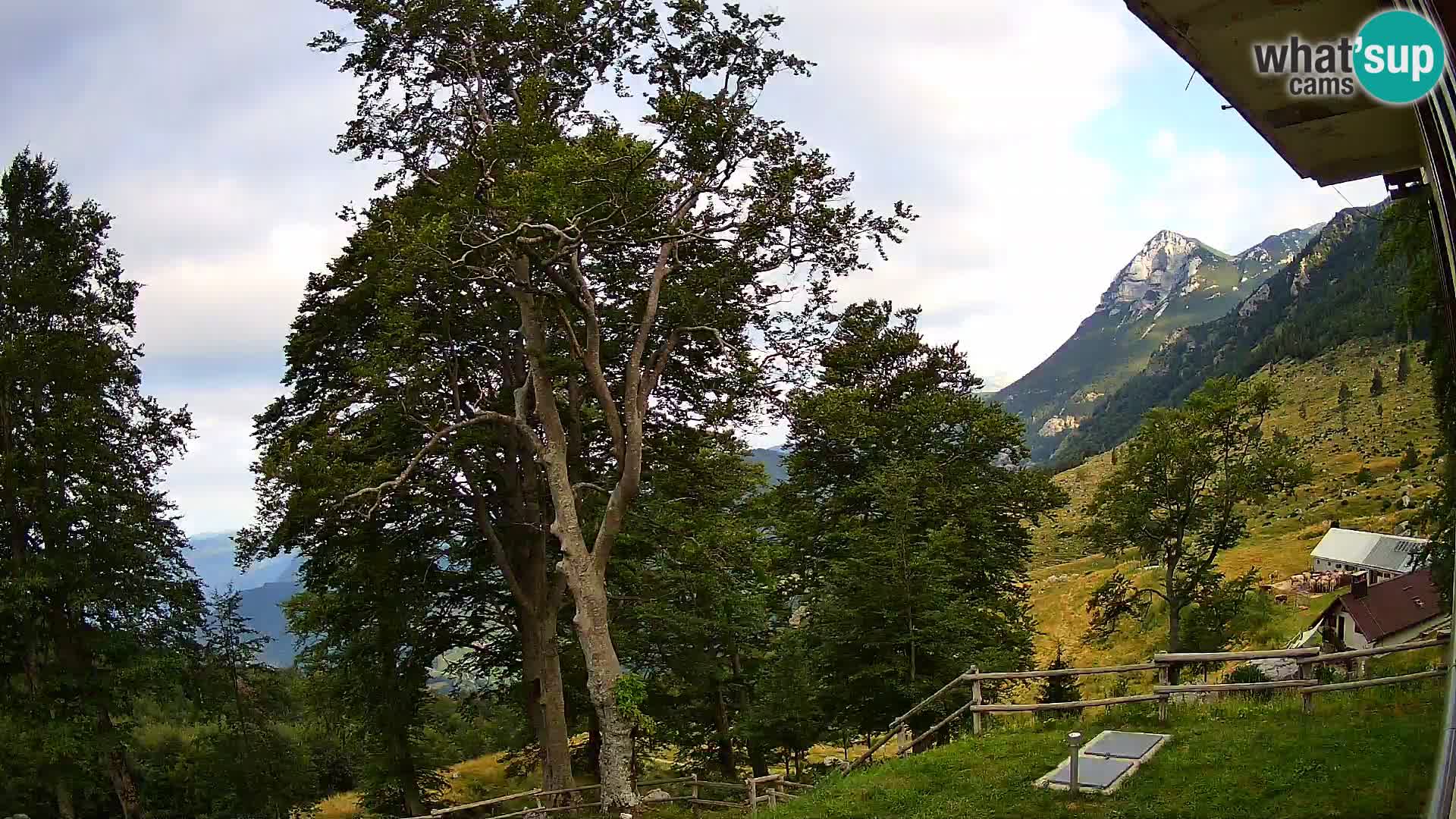 Koča na Planini Razor spletna kamera (1315) | Pogled na Tolminski Migovec